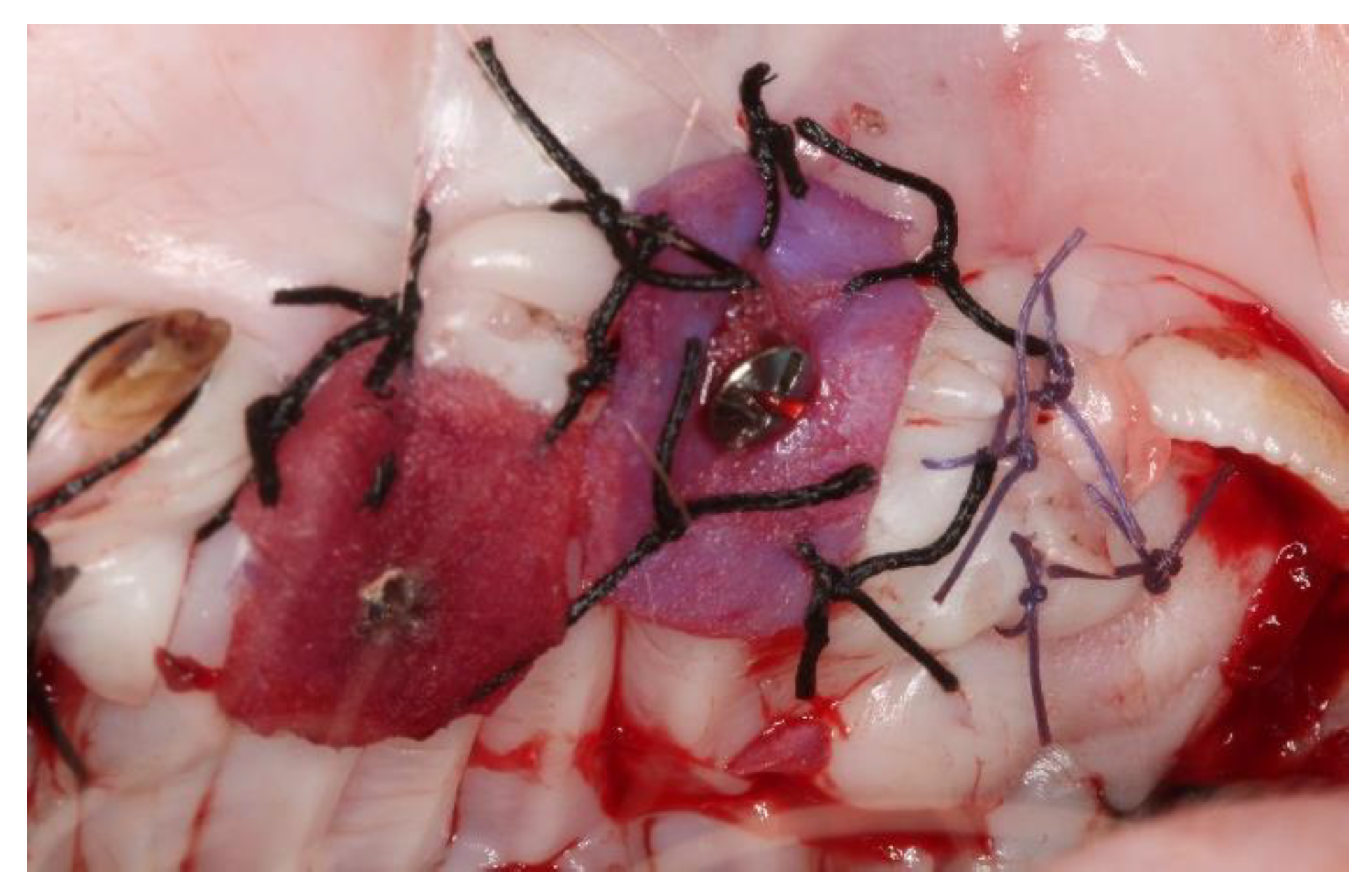 Materials 14 00272 g002