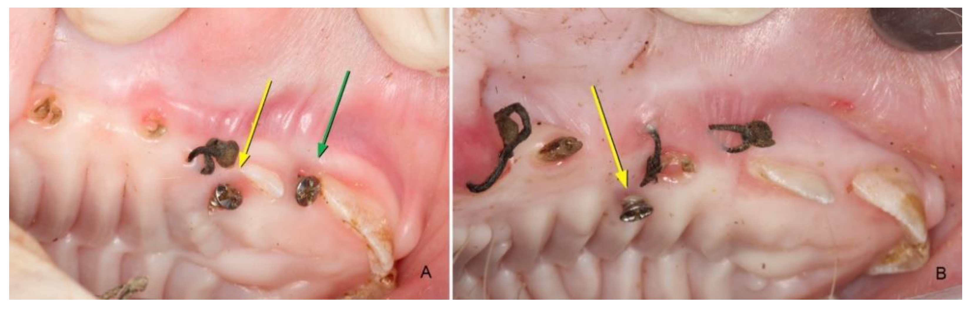 Materials 14 00272 g004