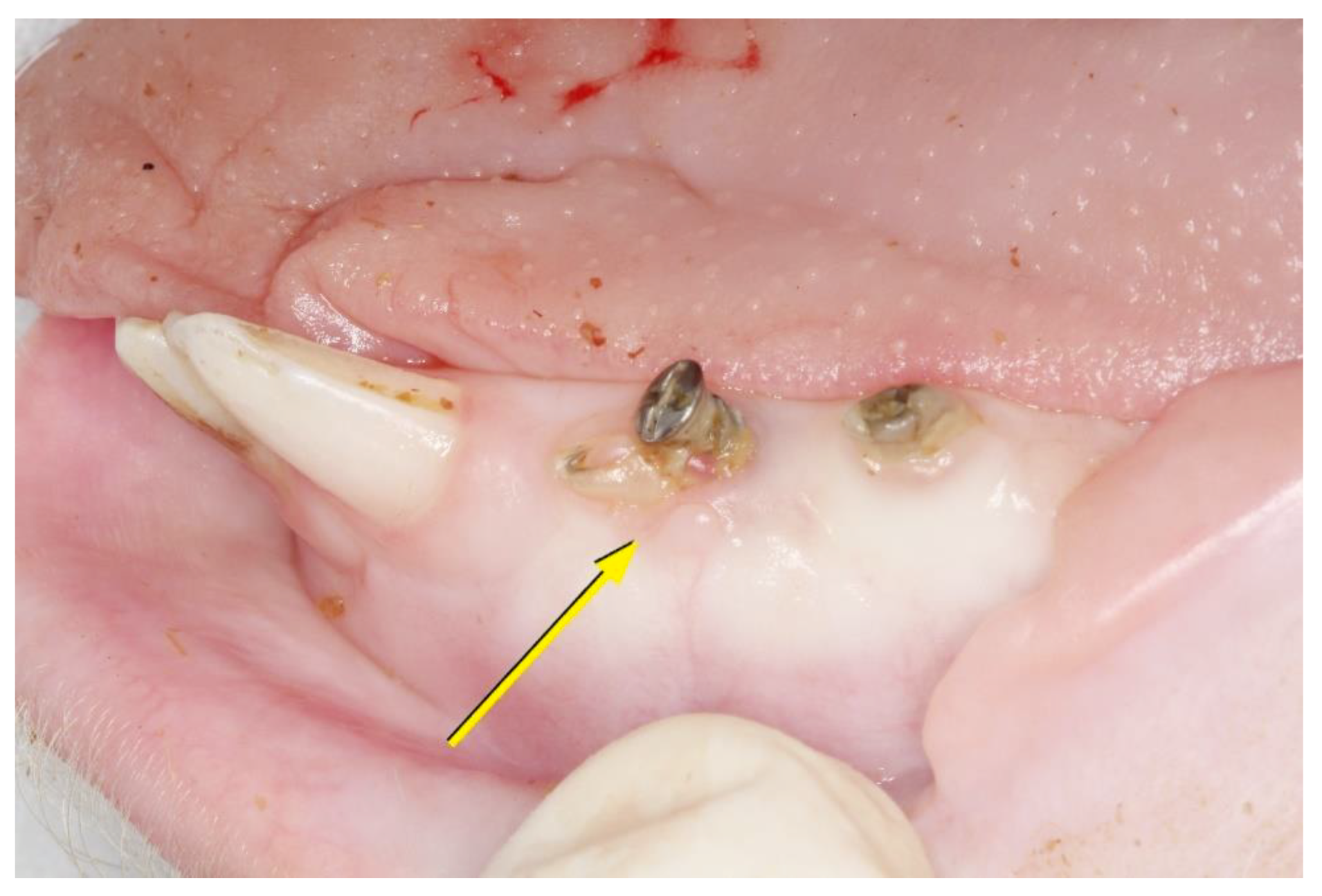 Materials 14 00272 g005