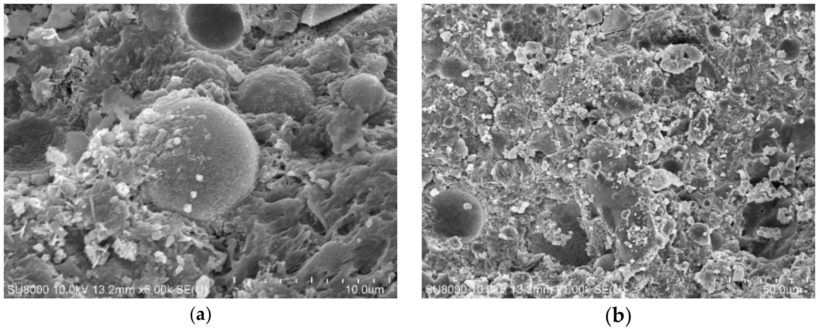 Materials 14 00283 g014