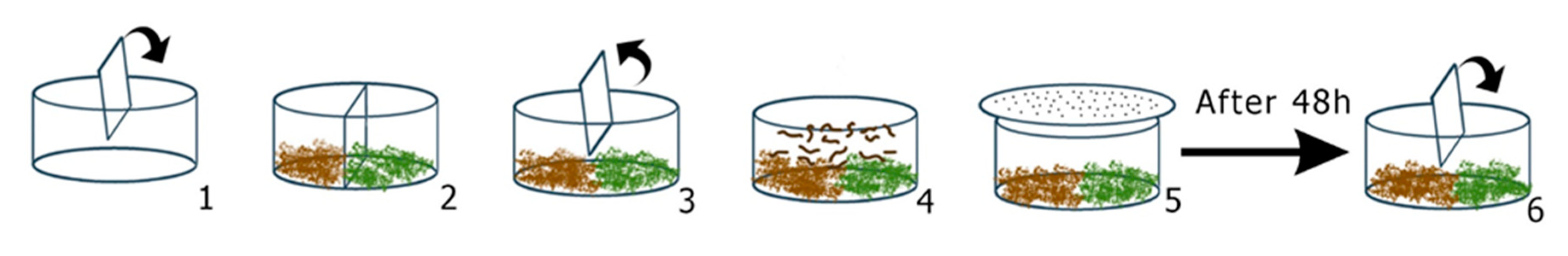 Materials 14 00294 g001 Materials 14 00294 g001