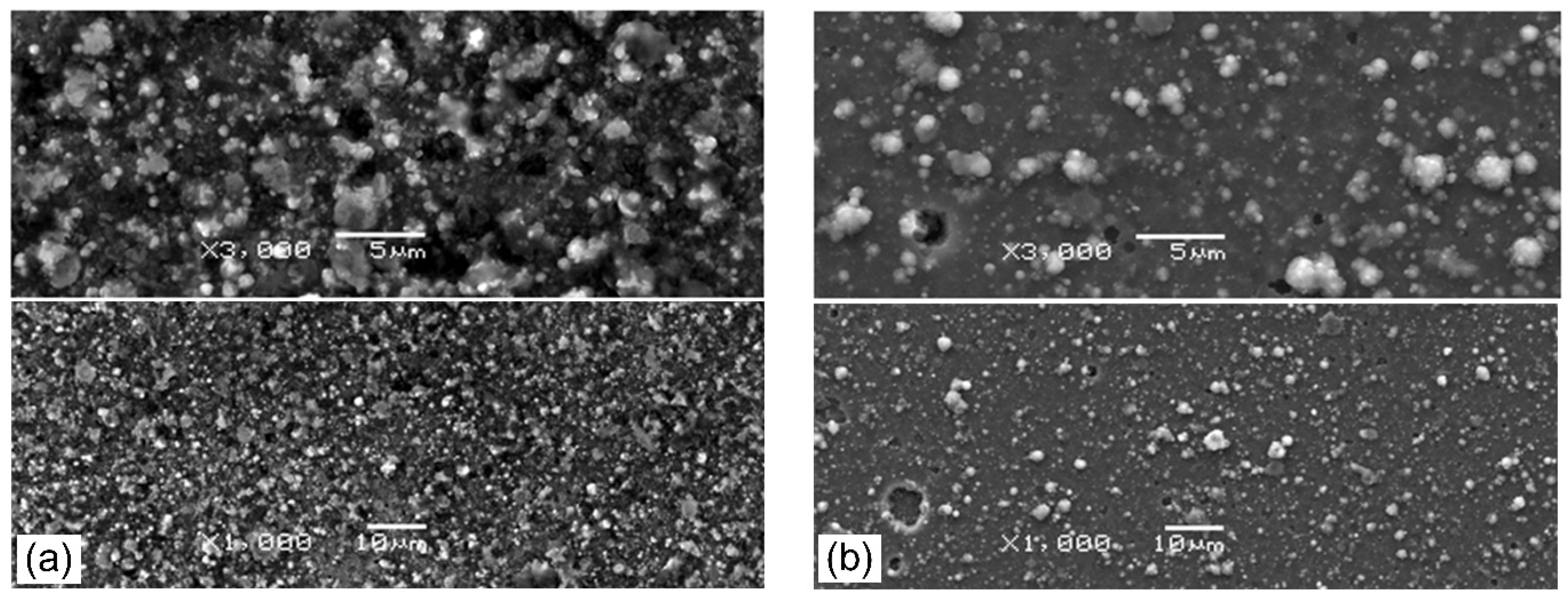 Materials 14 00304 g005