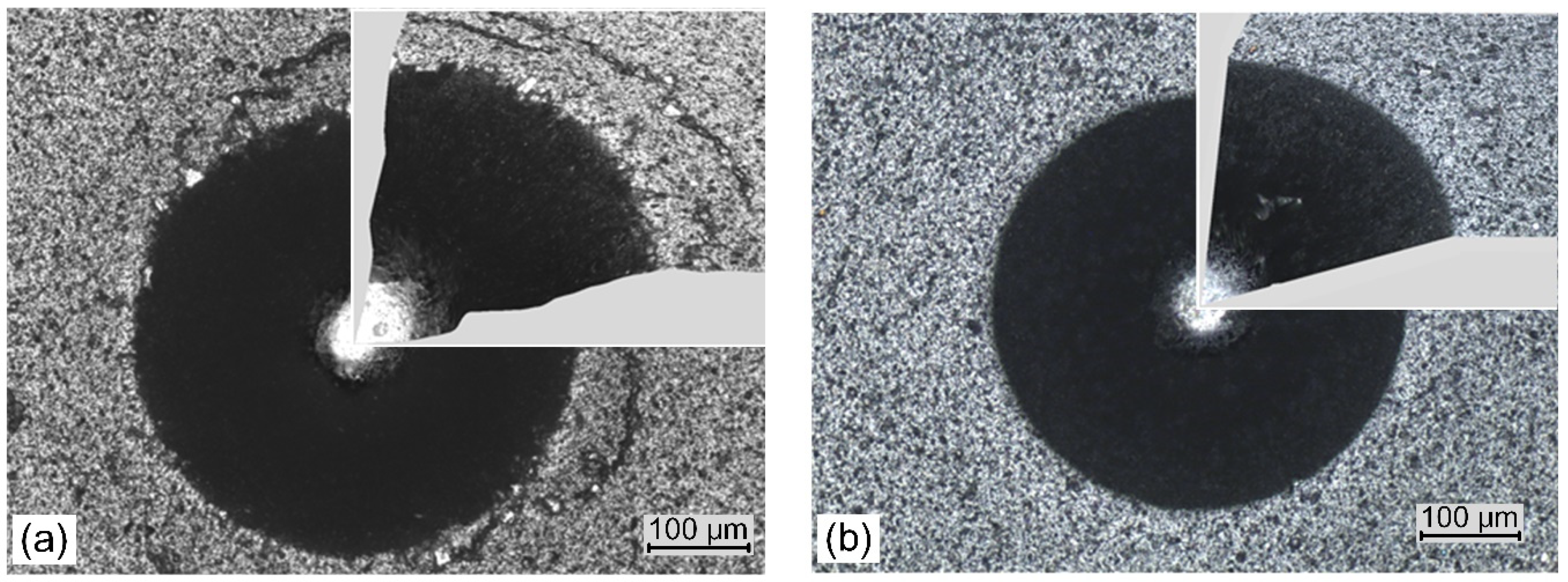 Materials 14 00304 g010