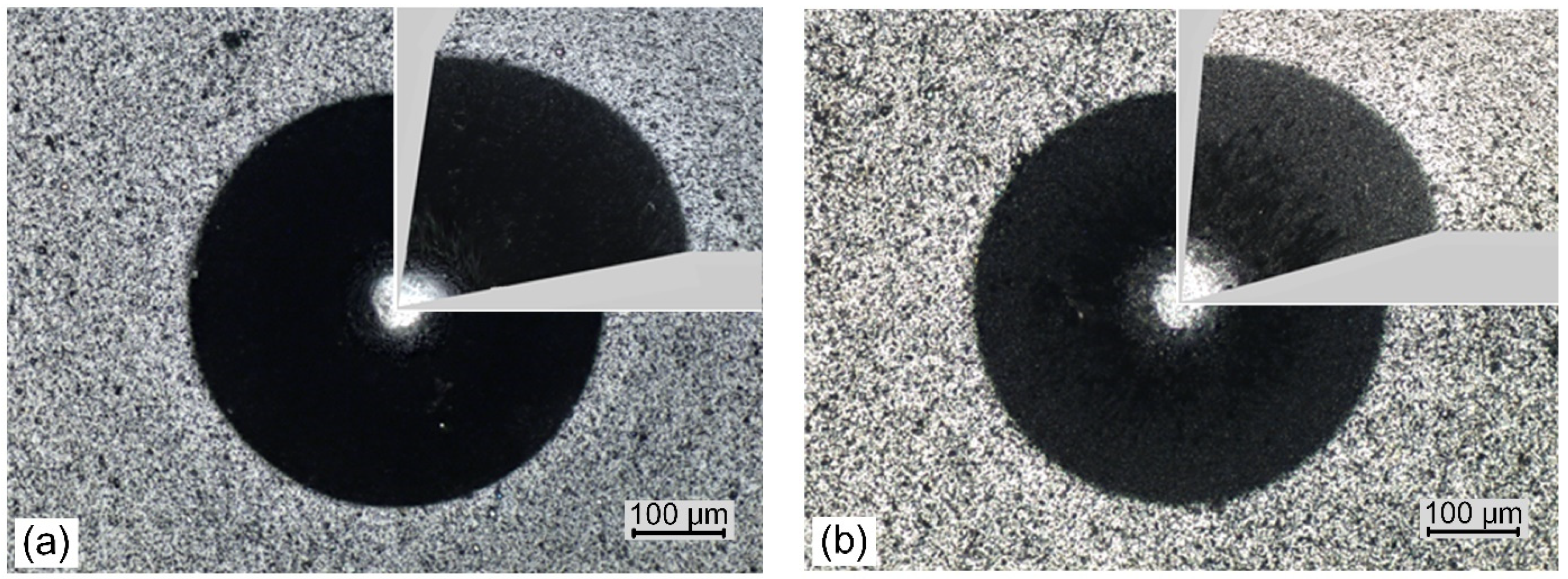 Materials 14 00304 g011