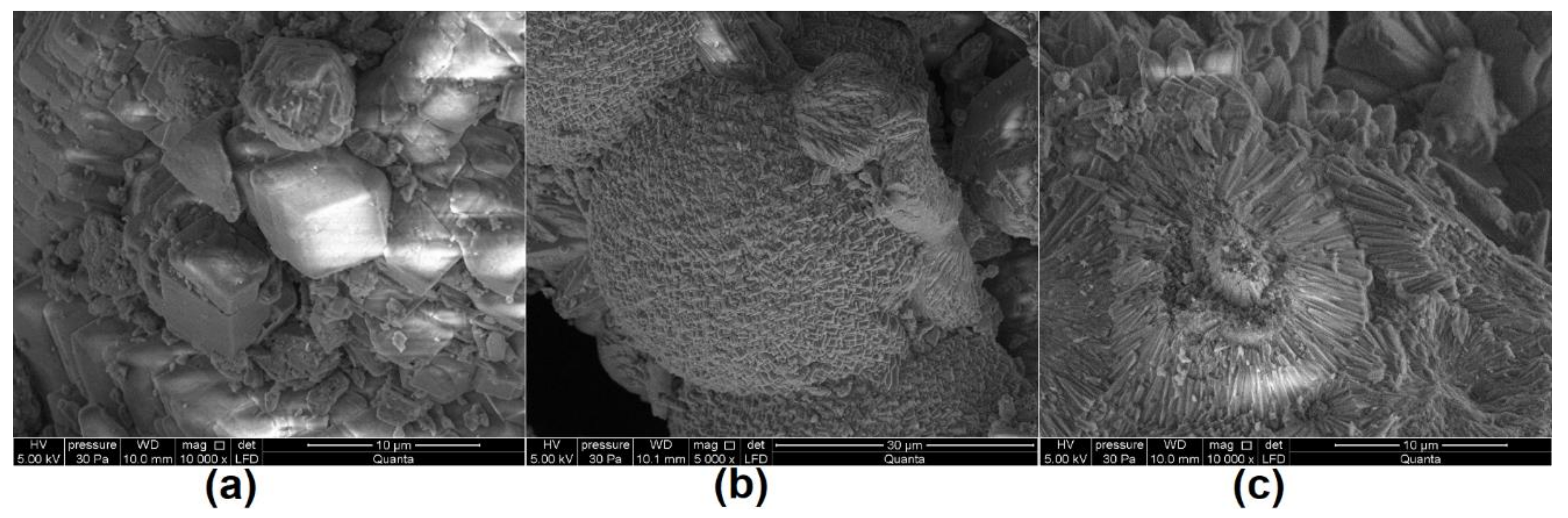 Materials 14 00306 g001 Materials 14 00306 g001