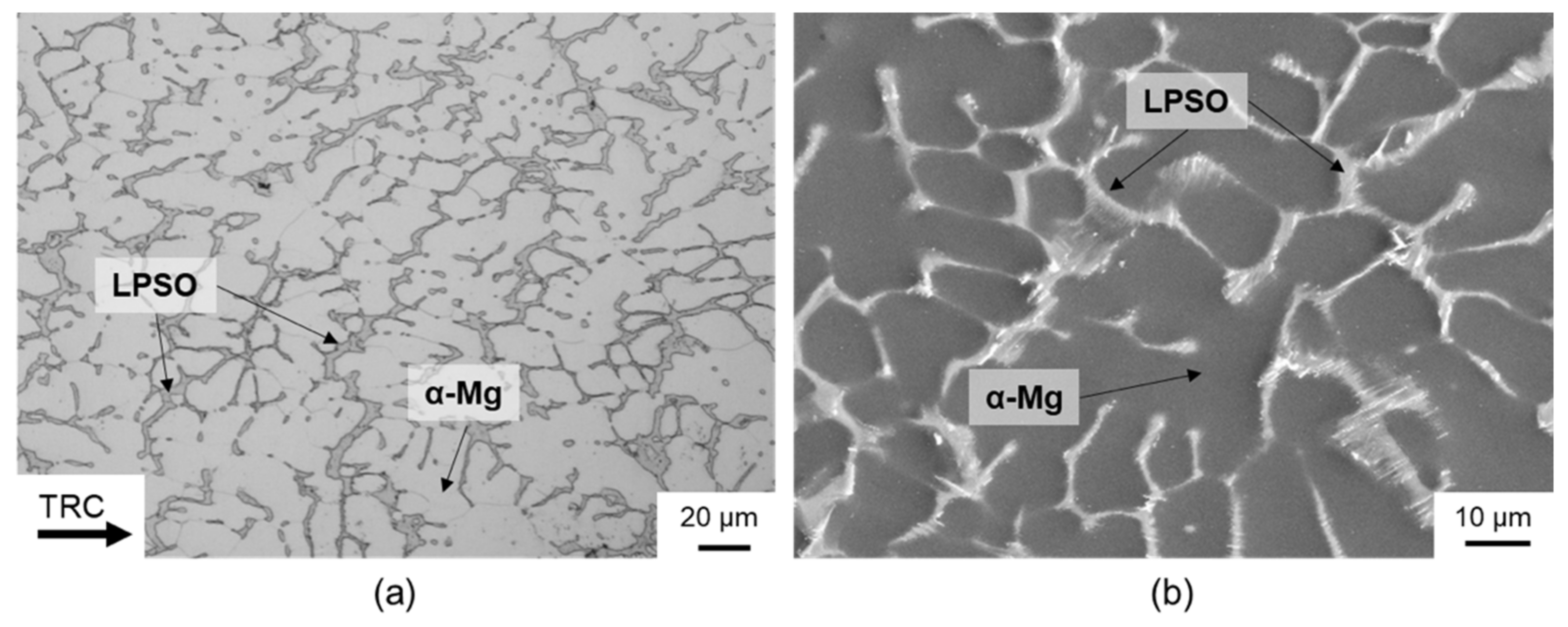 Materials 14 00307 g001 Materials 14 00307 g001