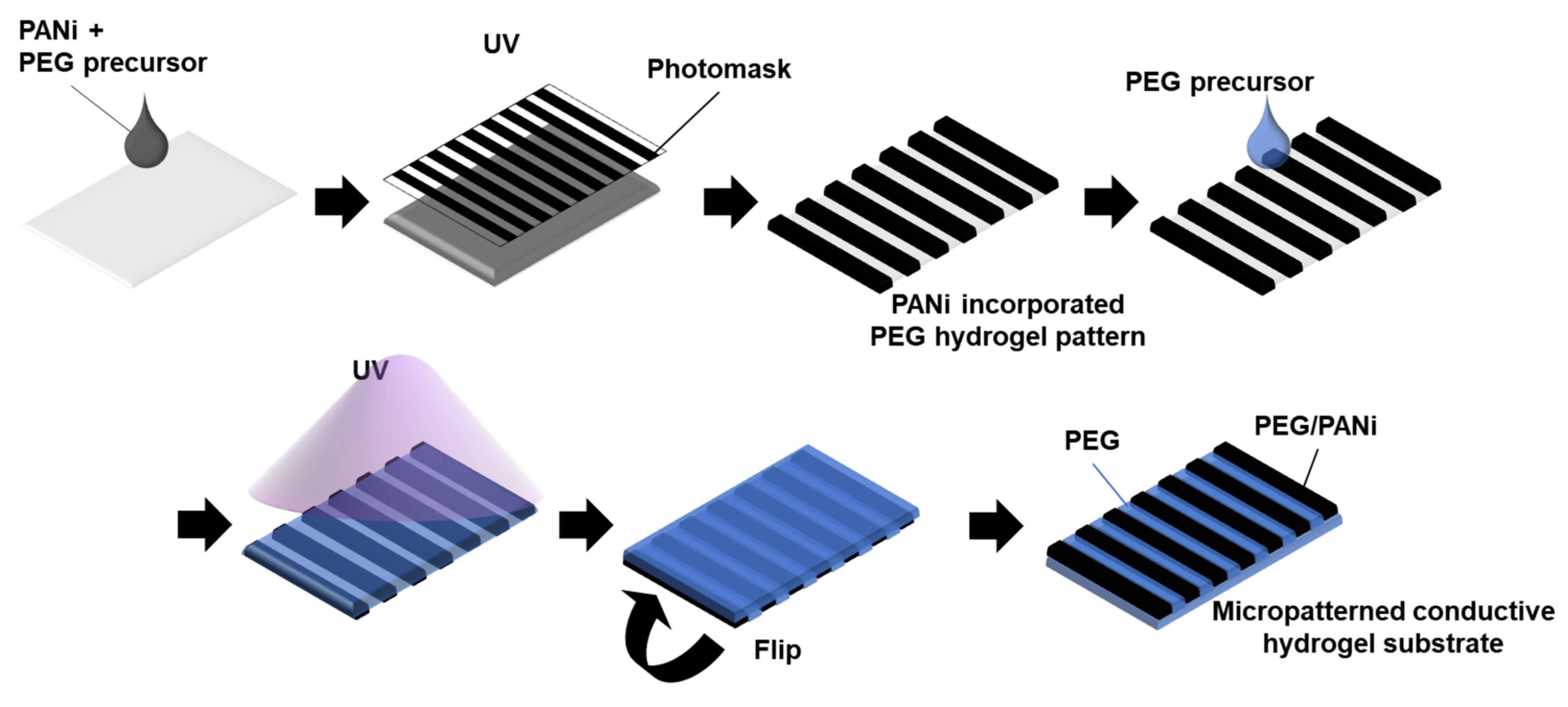 Materials 14 00308 g001