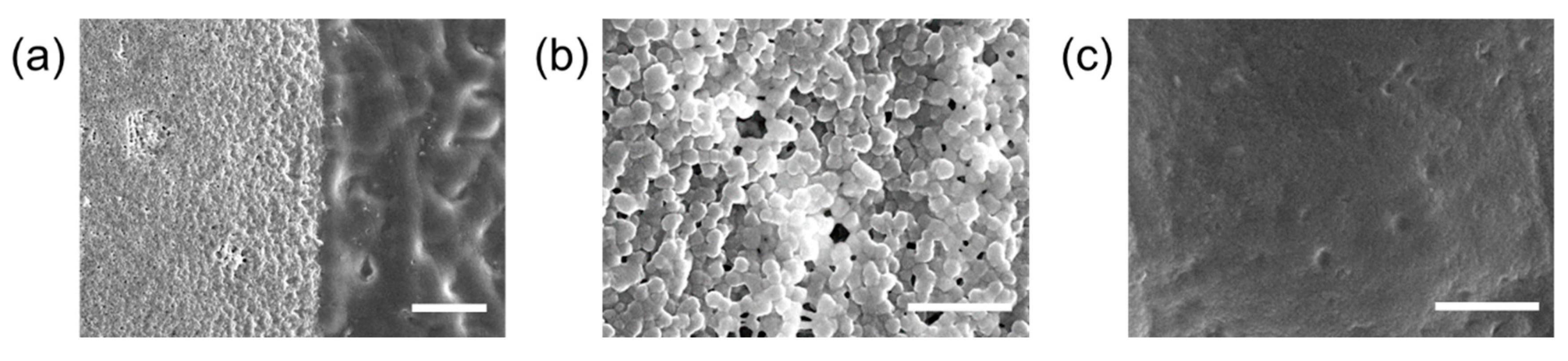 Materials 14 00308 g003