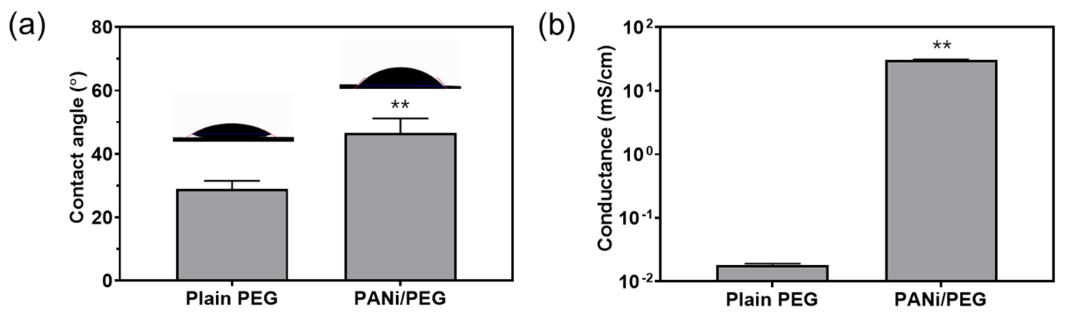Materials 14 00308 g004