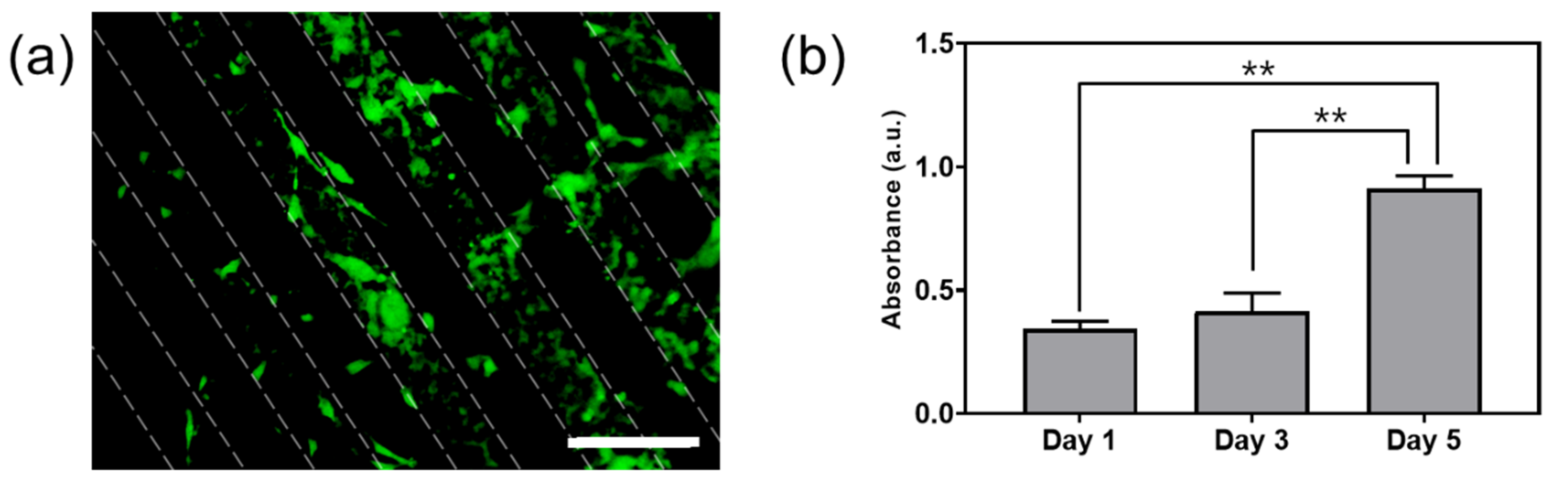 Materials 14 00308 g005