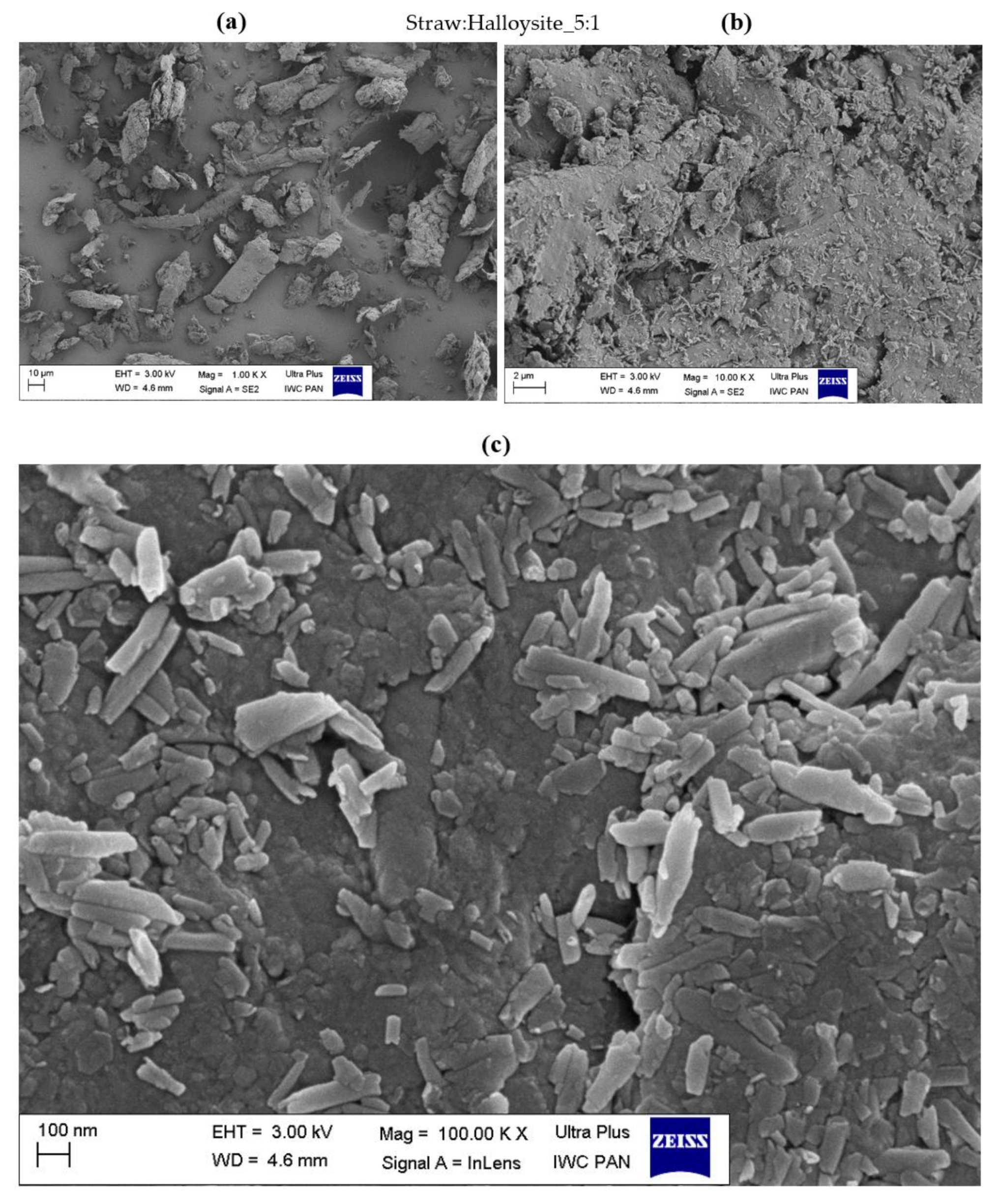 Materials 14 00321 g005 Materials 14 00321 g005