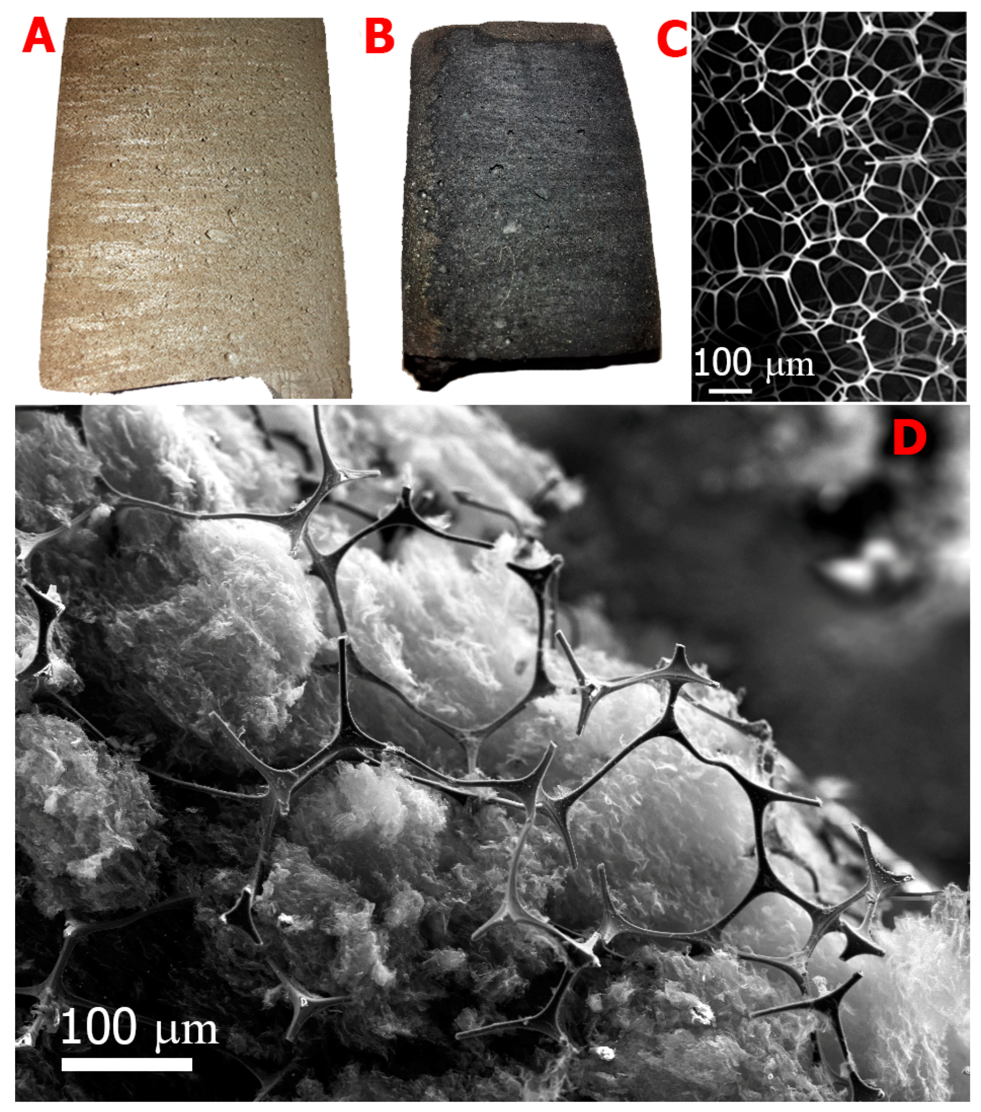 Materials 14 00322 g001