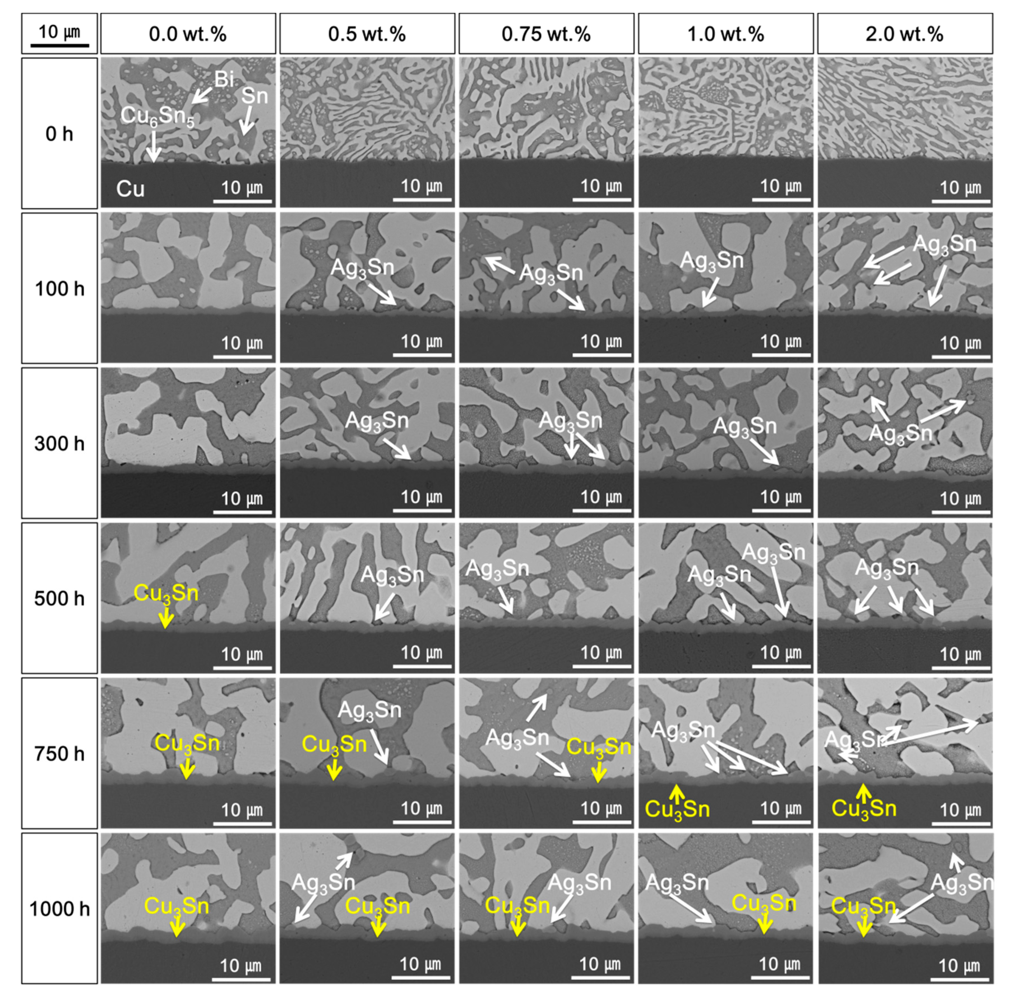 Materials 14 00335 g003 Materials 14 00335 g003