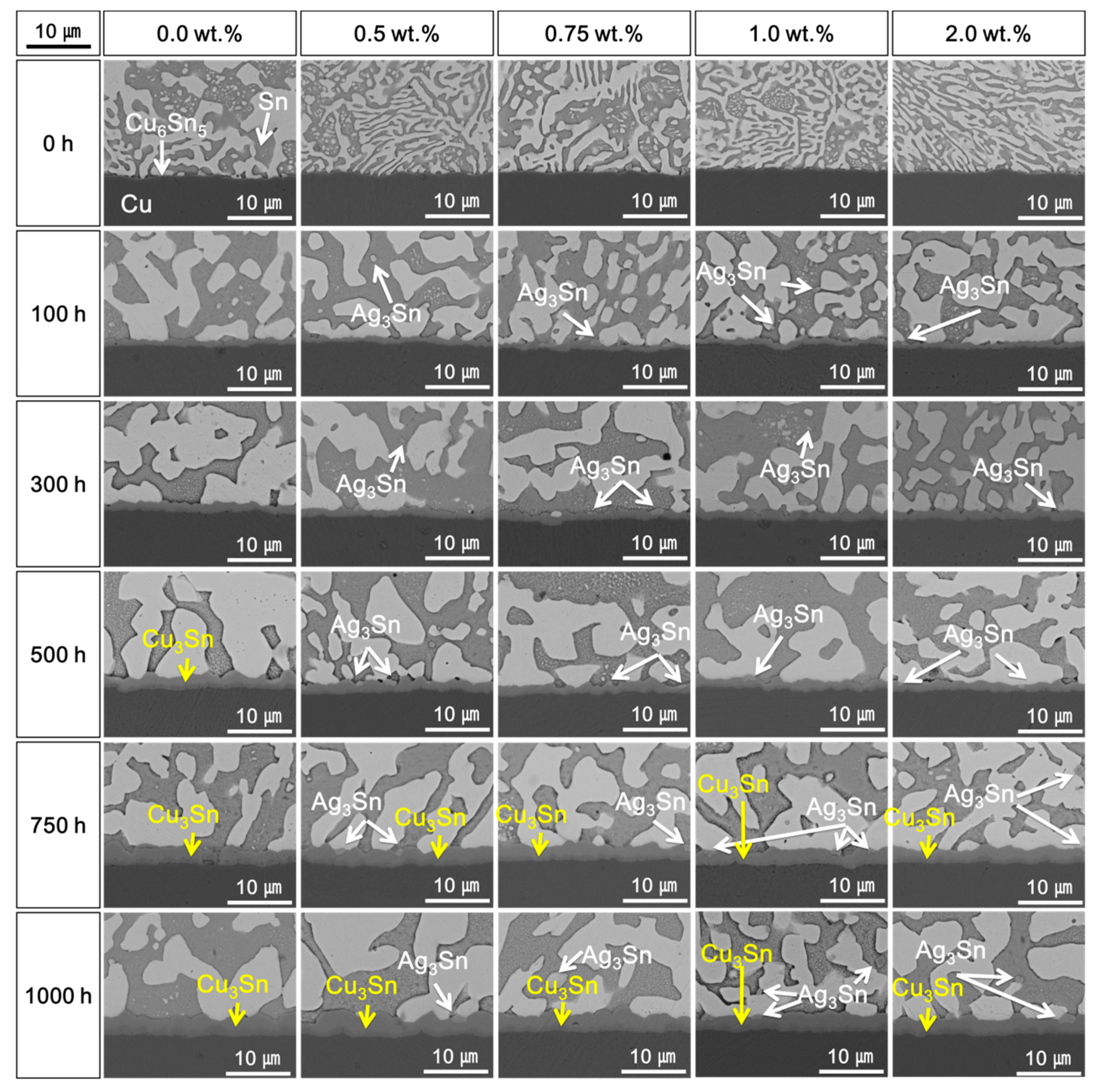 Materials 14 00335 g004 Materials 14 00335 g004