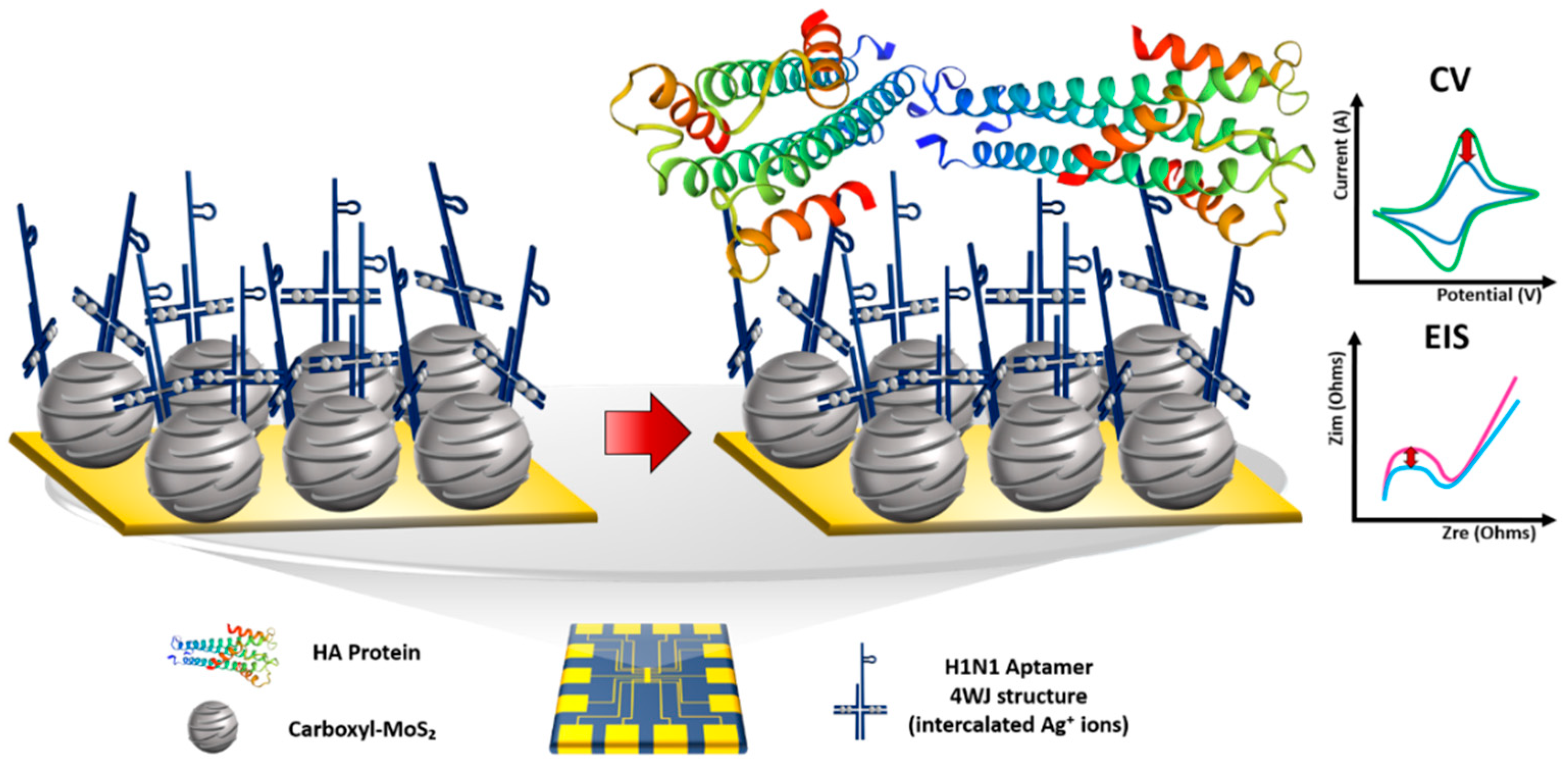 Materials 14 00343 g001 Materials 14 00343 g001