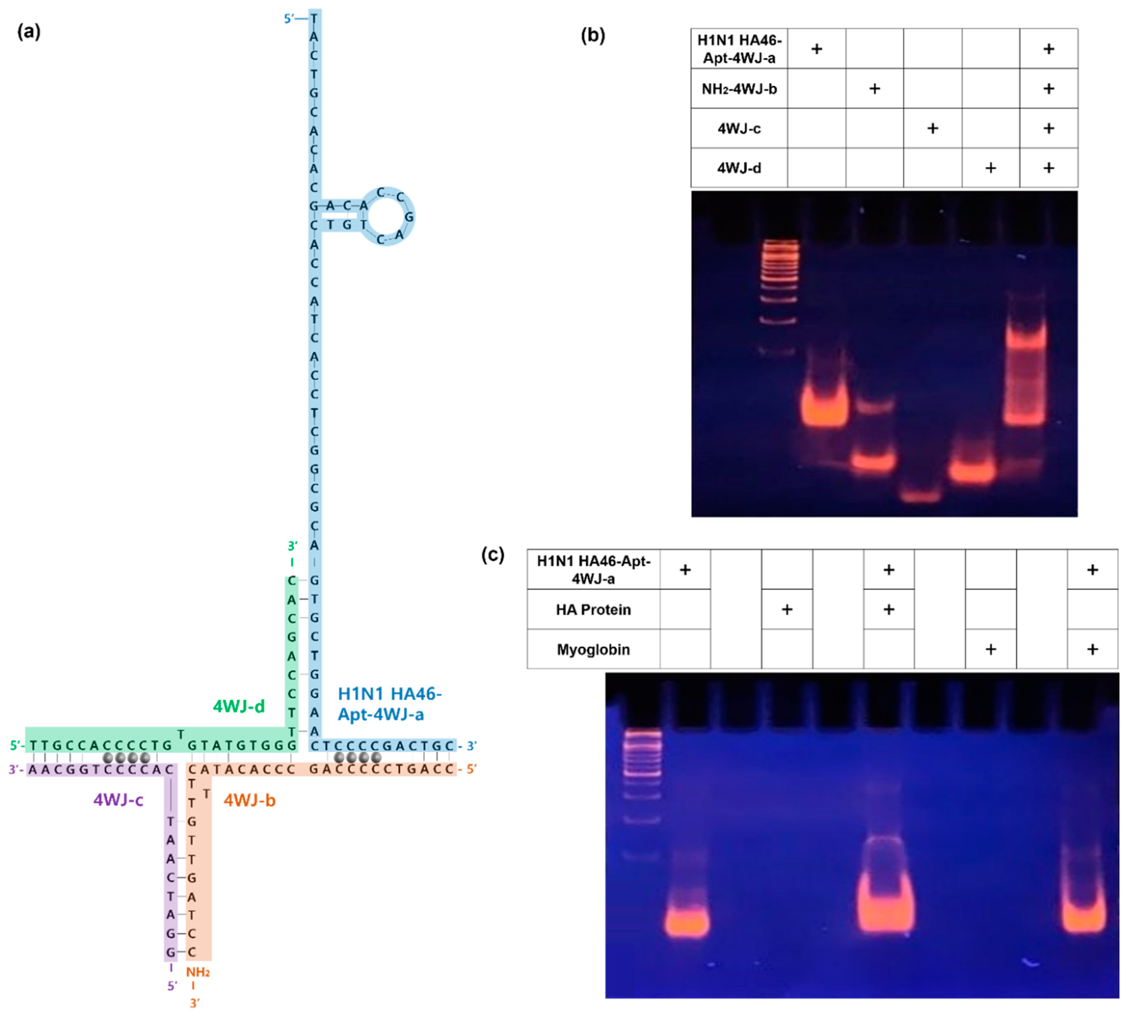 Materials 14 00343 g002 Materials 14 00343 g002