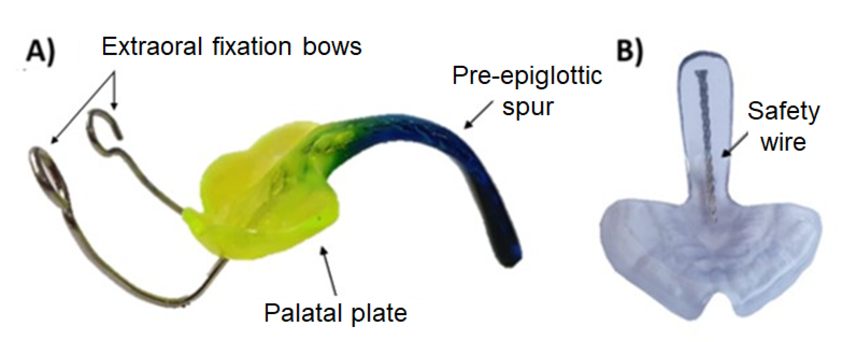 Materials 14 00344 g002