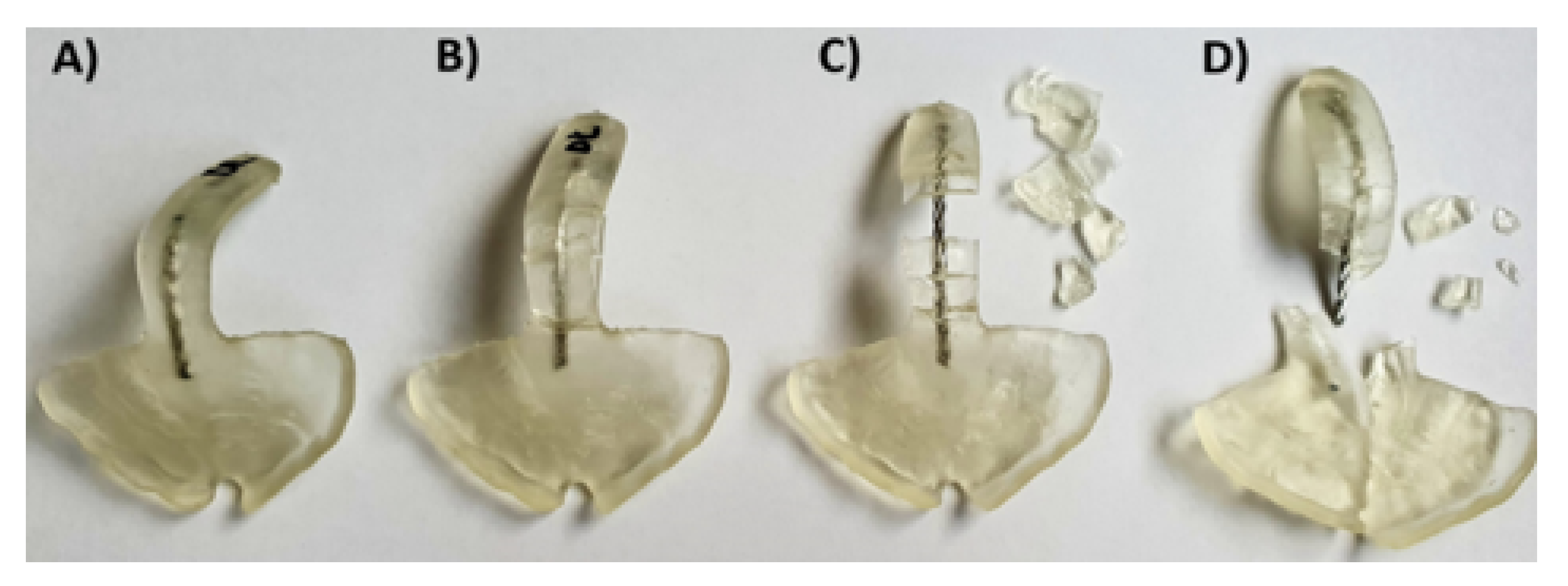 Materials 14 00344 g010