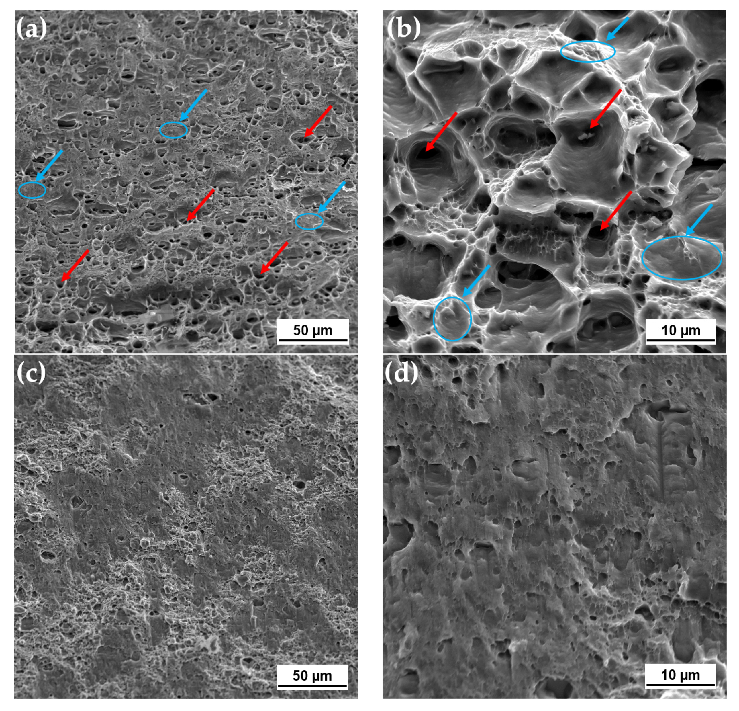 Materials 14 00347 g006a