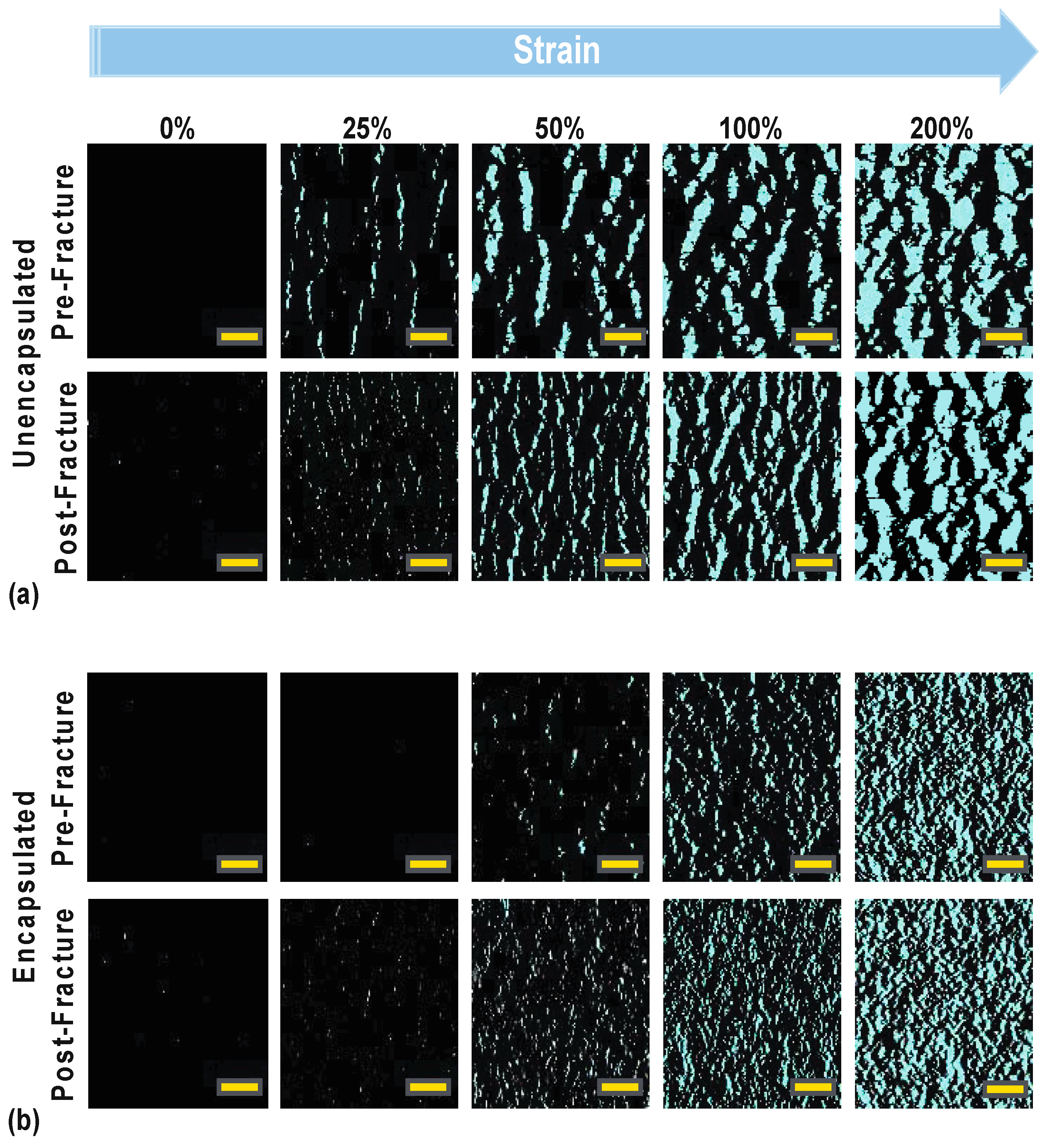Materials 14 00364 g005