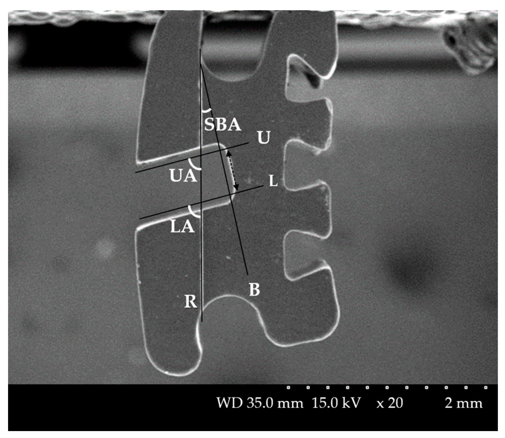 Materials 14 00365 g001 Materials 14 00365 g001