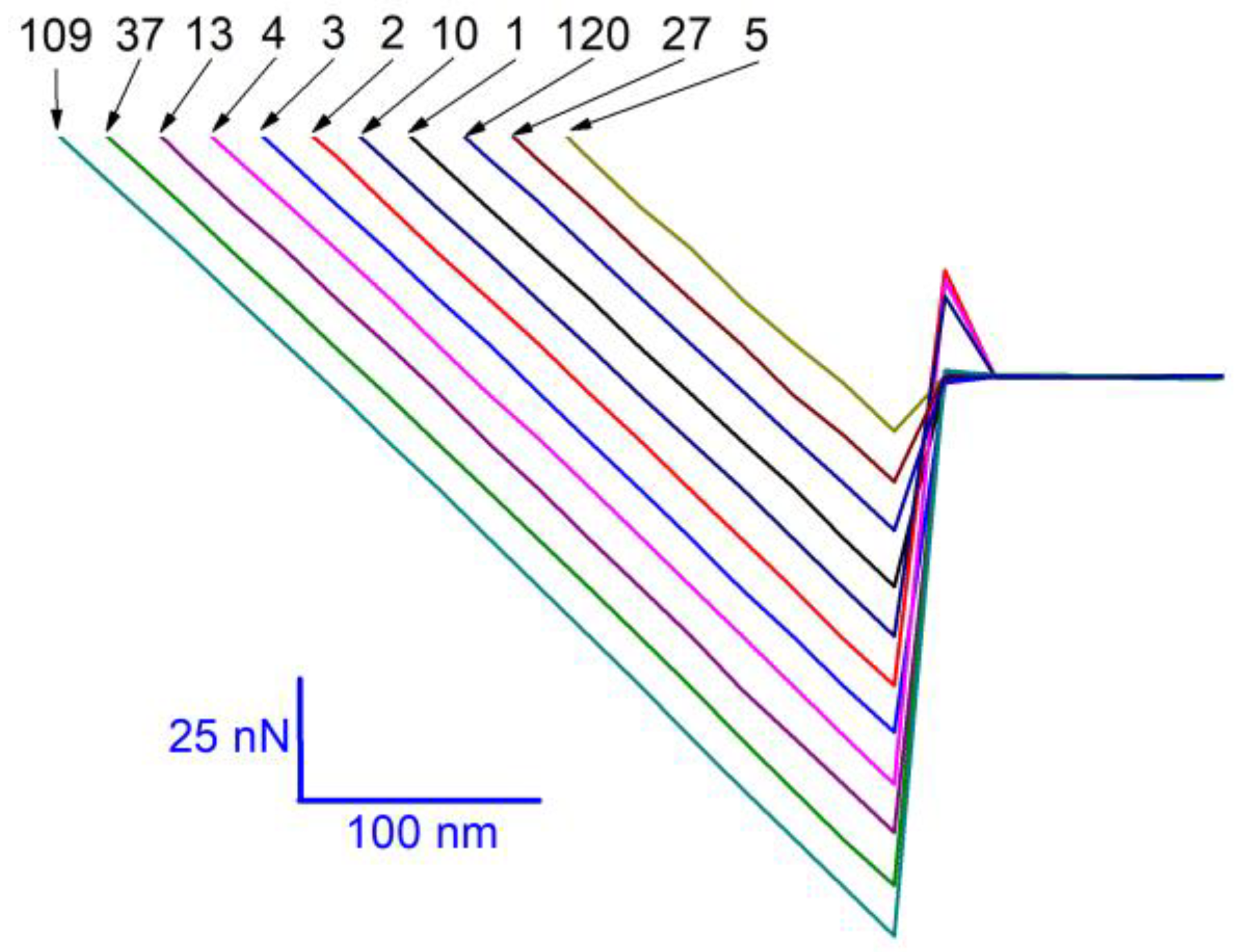 Materials 14 00370 g006