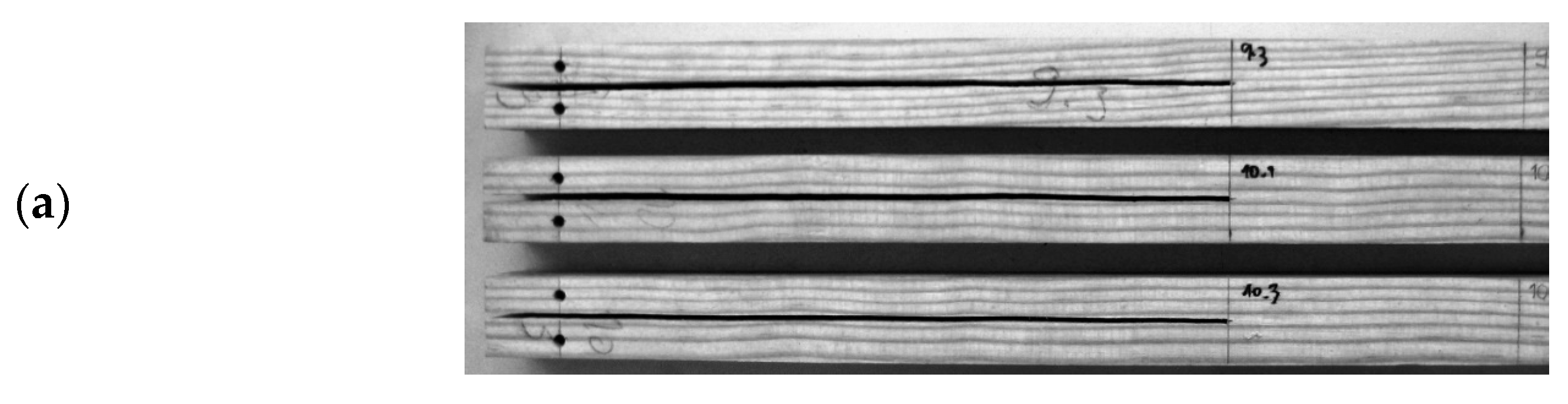 Materials 14 00374 g002a Materials 14 00374 g002a