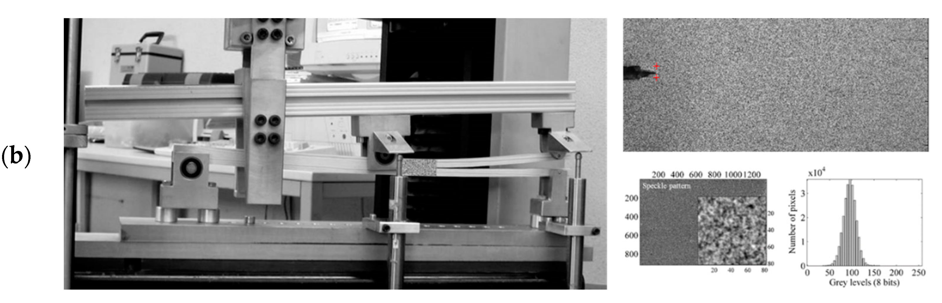 Materials 14 00374 g002b Materials 14 00374 g002b