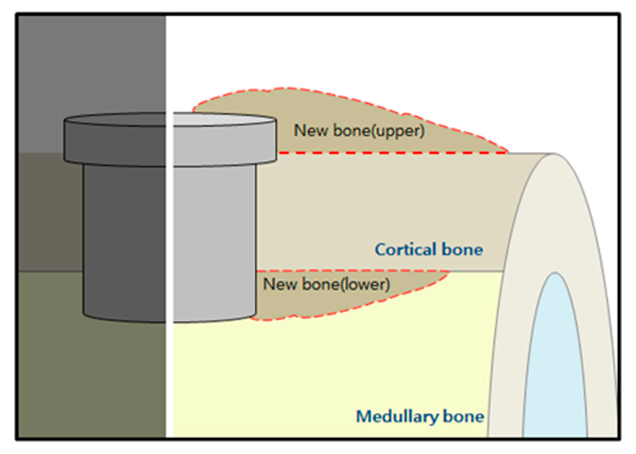 Materials 14 00381 g002