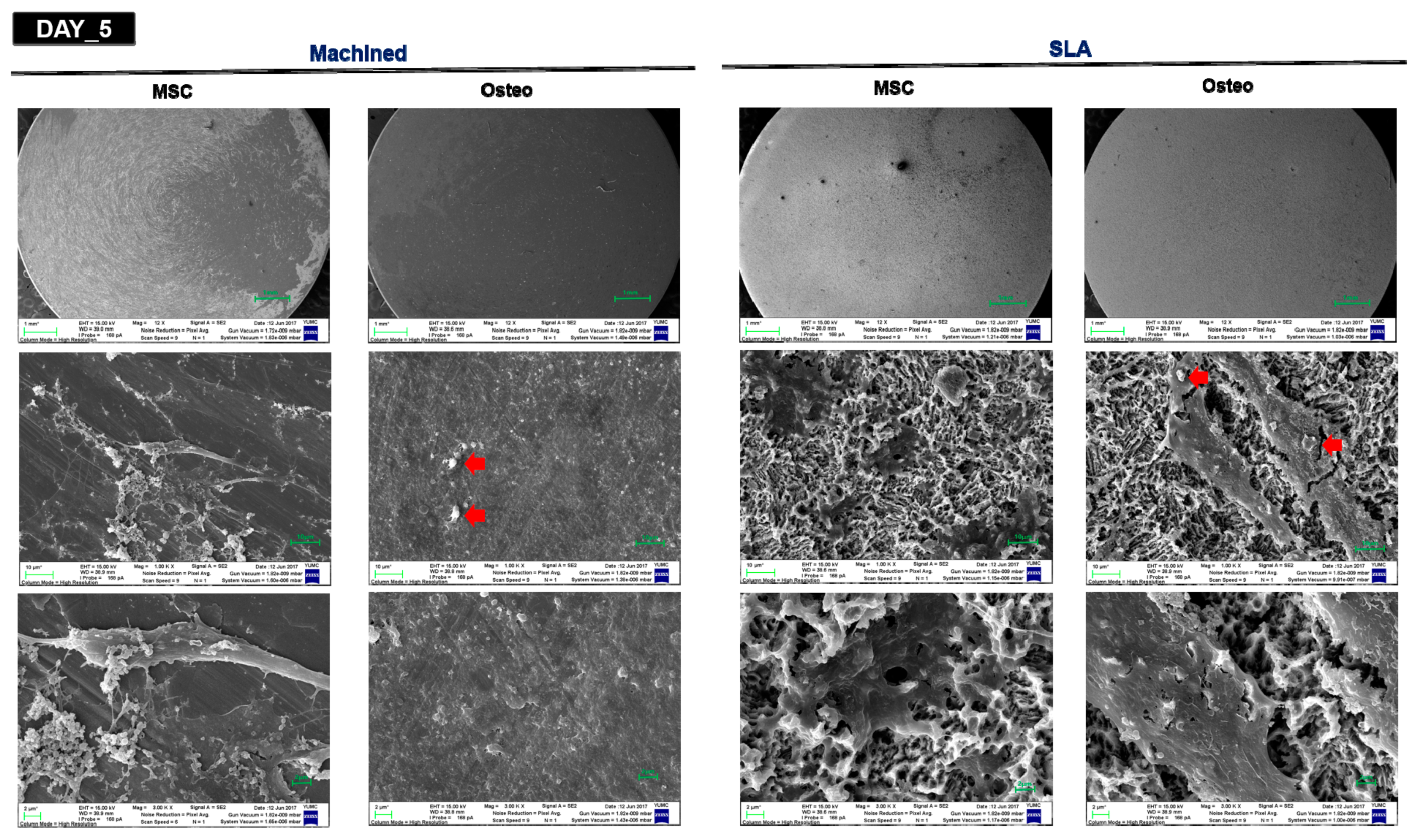 Materials 14 00381 g004b