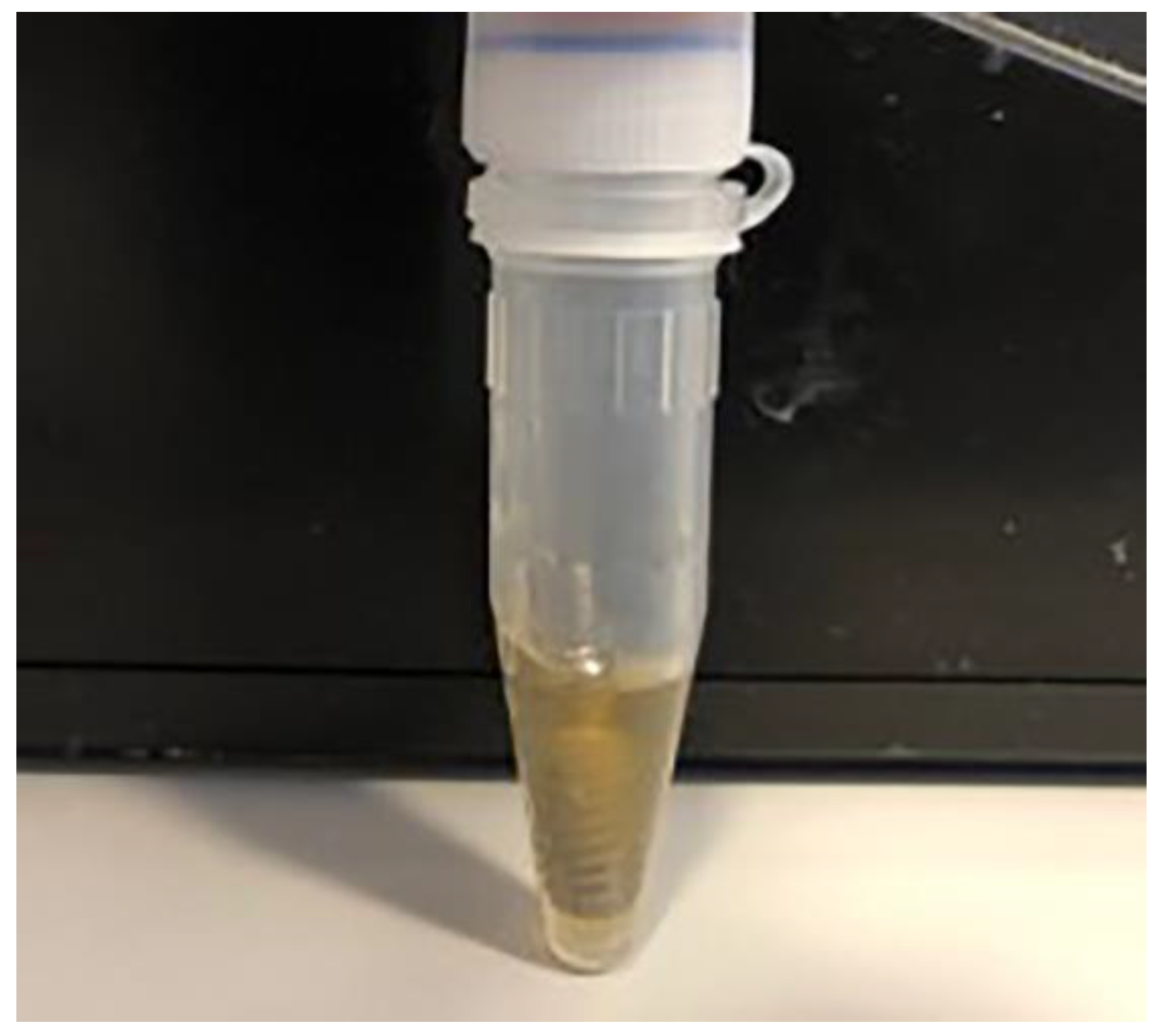 Materials 14 00385 g007 Materials 14 00385 g007