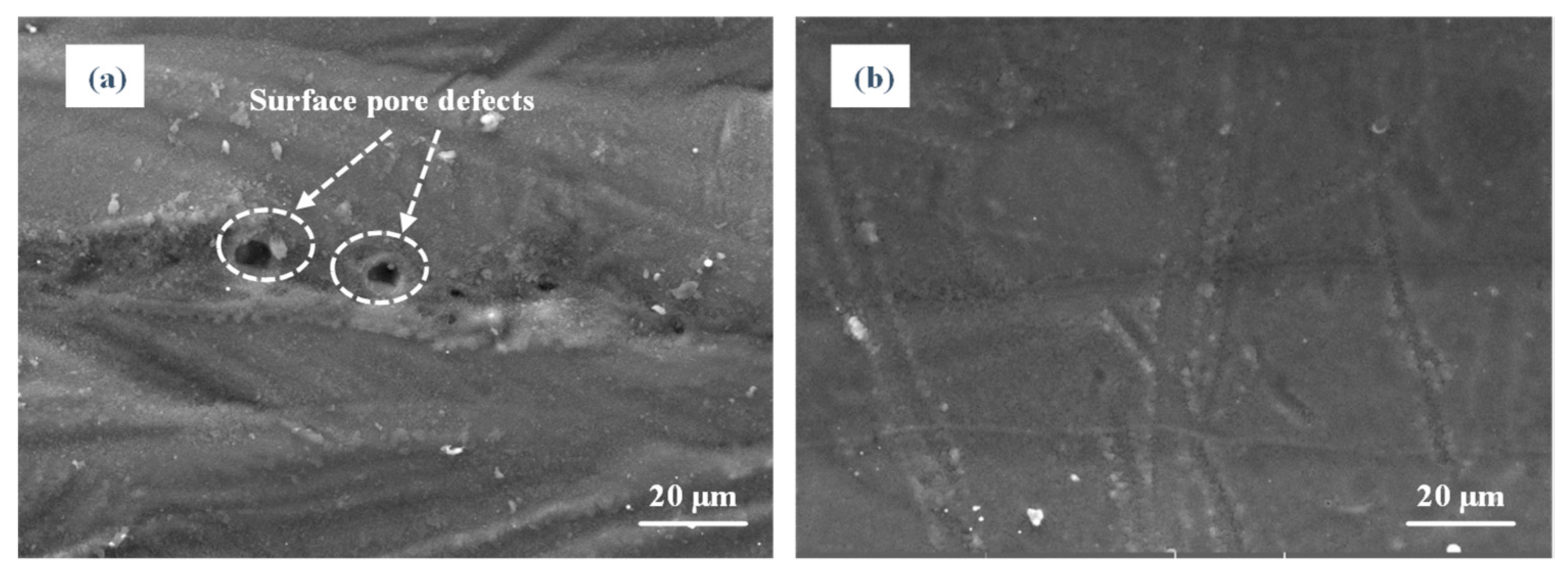 Materials 14 00393 g009 Materials 14 00393 g009