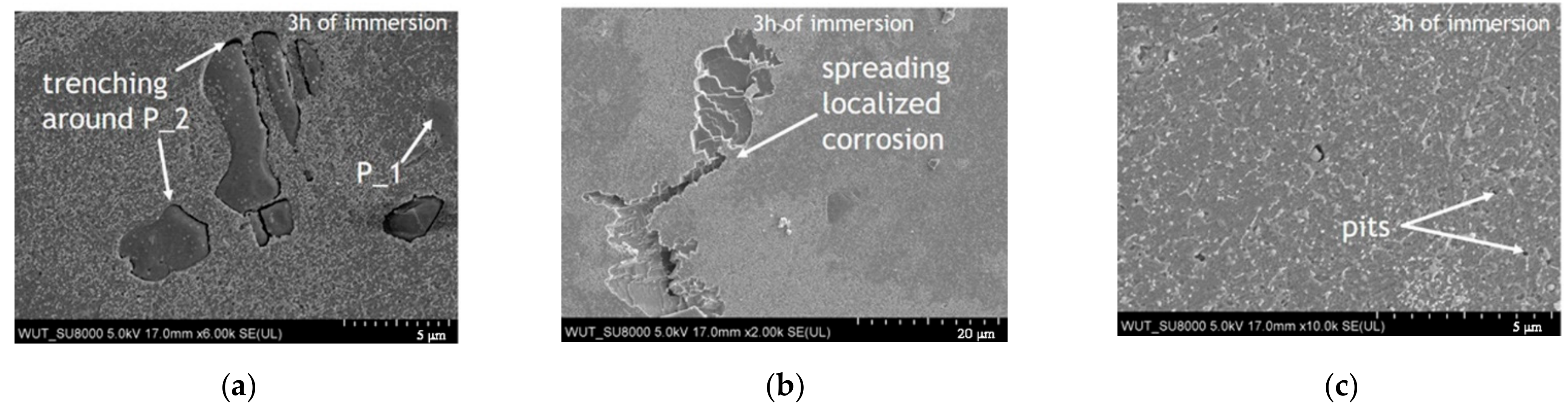 Materials 14 00394 g007a