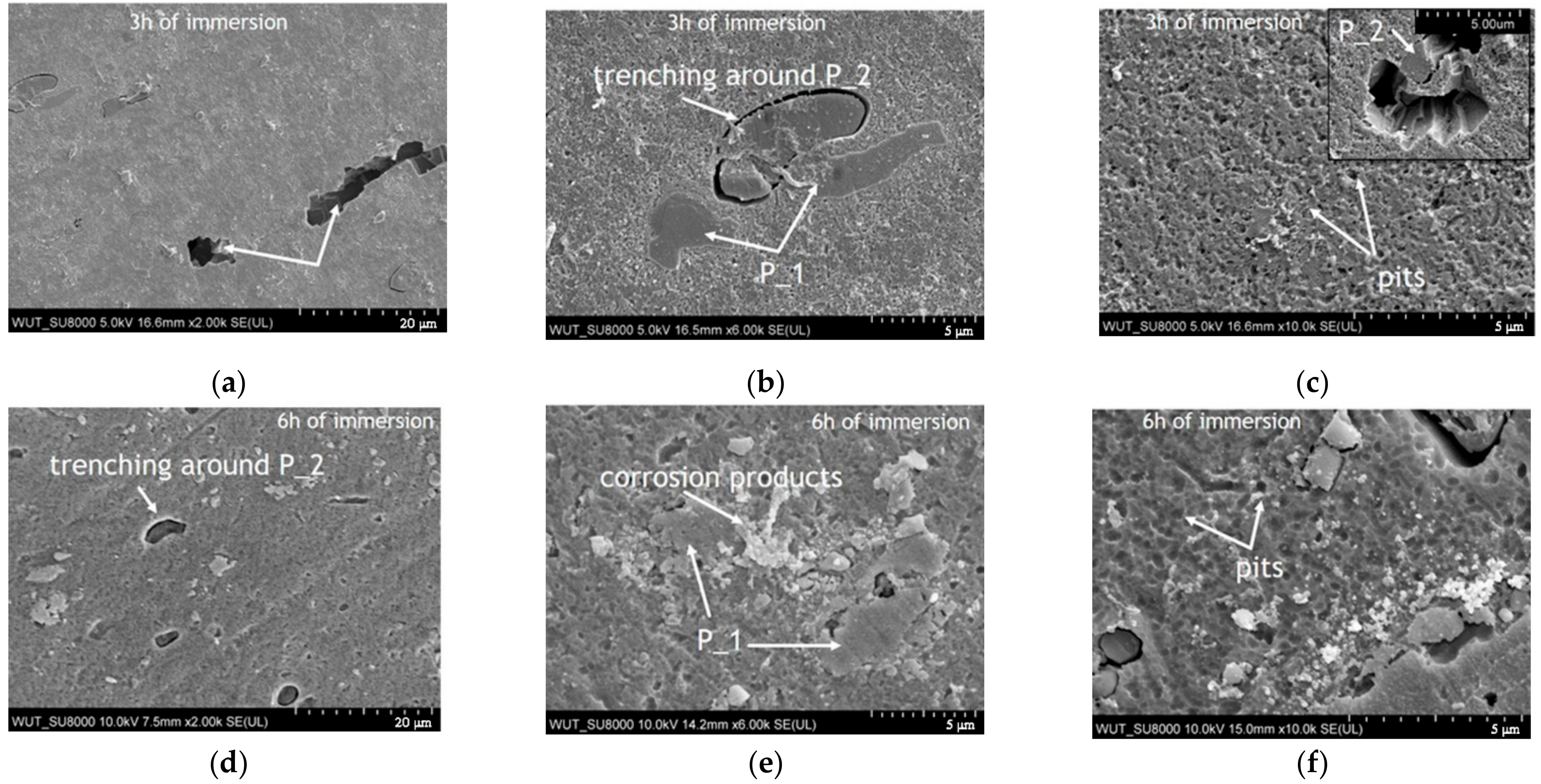 Materials 14 00394 g008