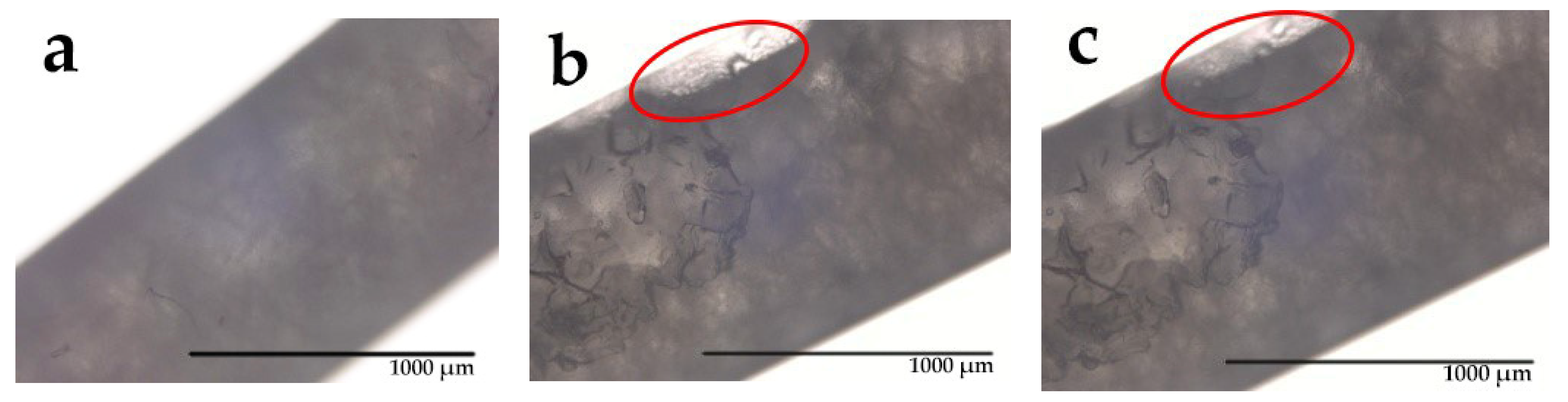 Materials 14 00401 g011 Materials 14 00401 g011