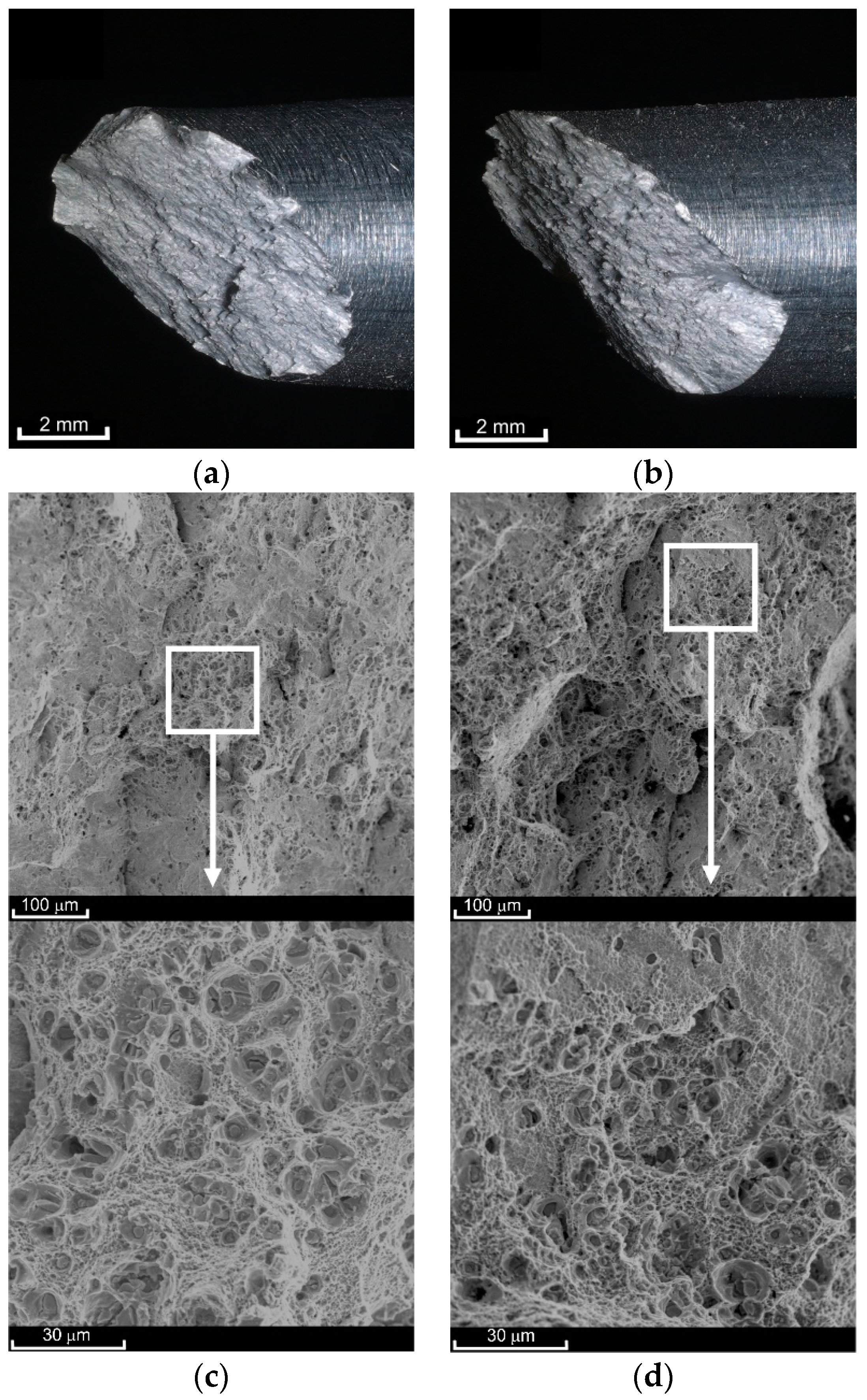 Materials 14 00404 g007