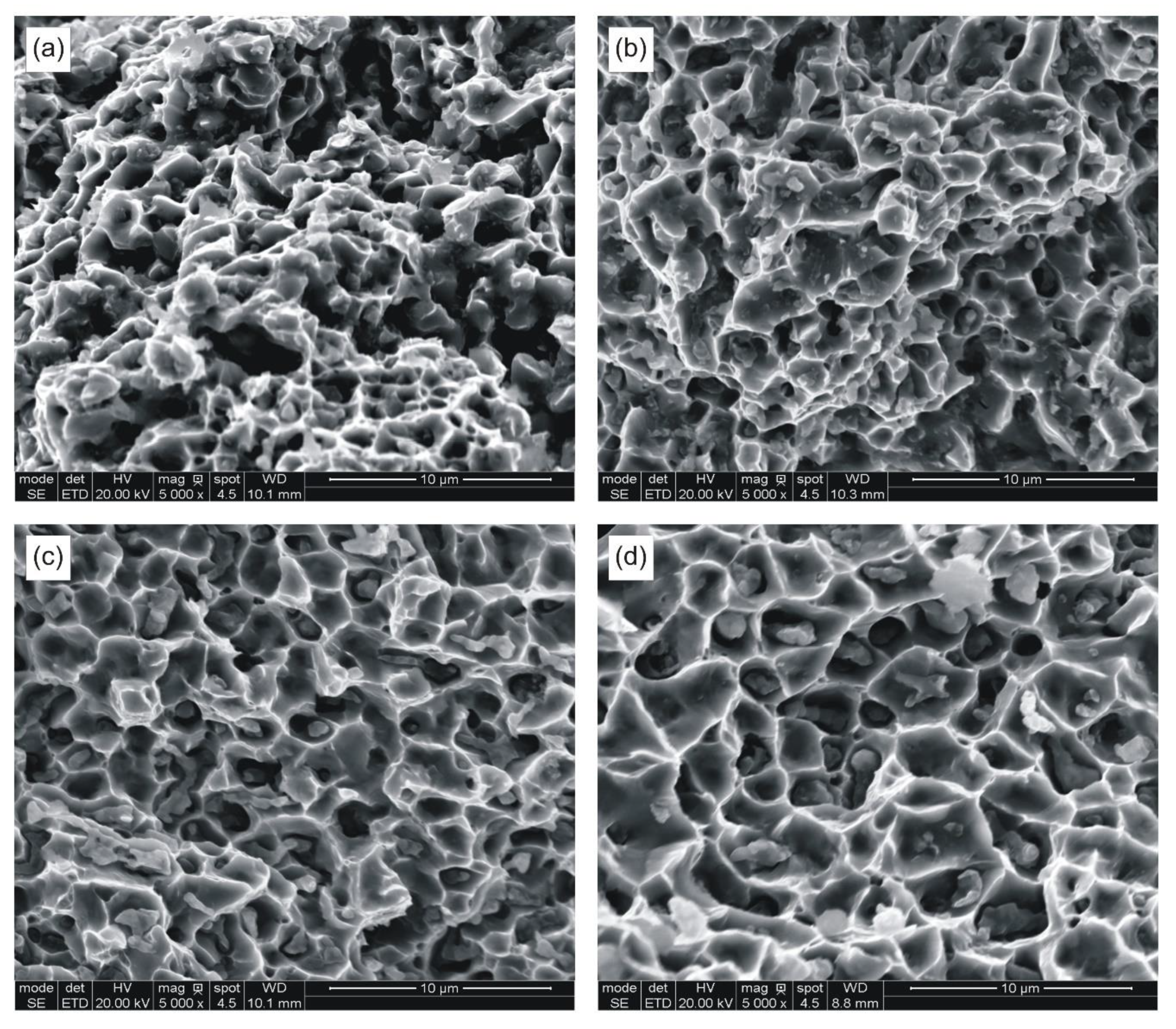 Materials 14 00406 g004 550