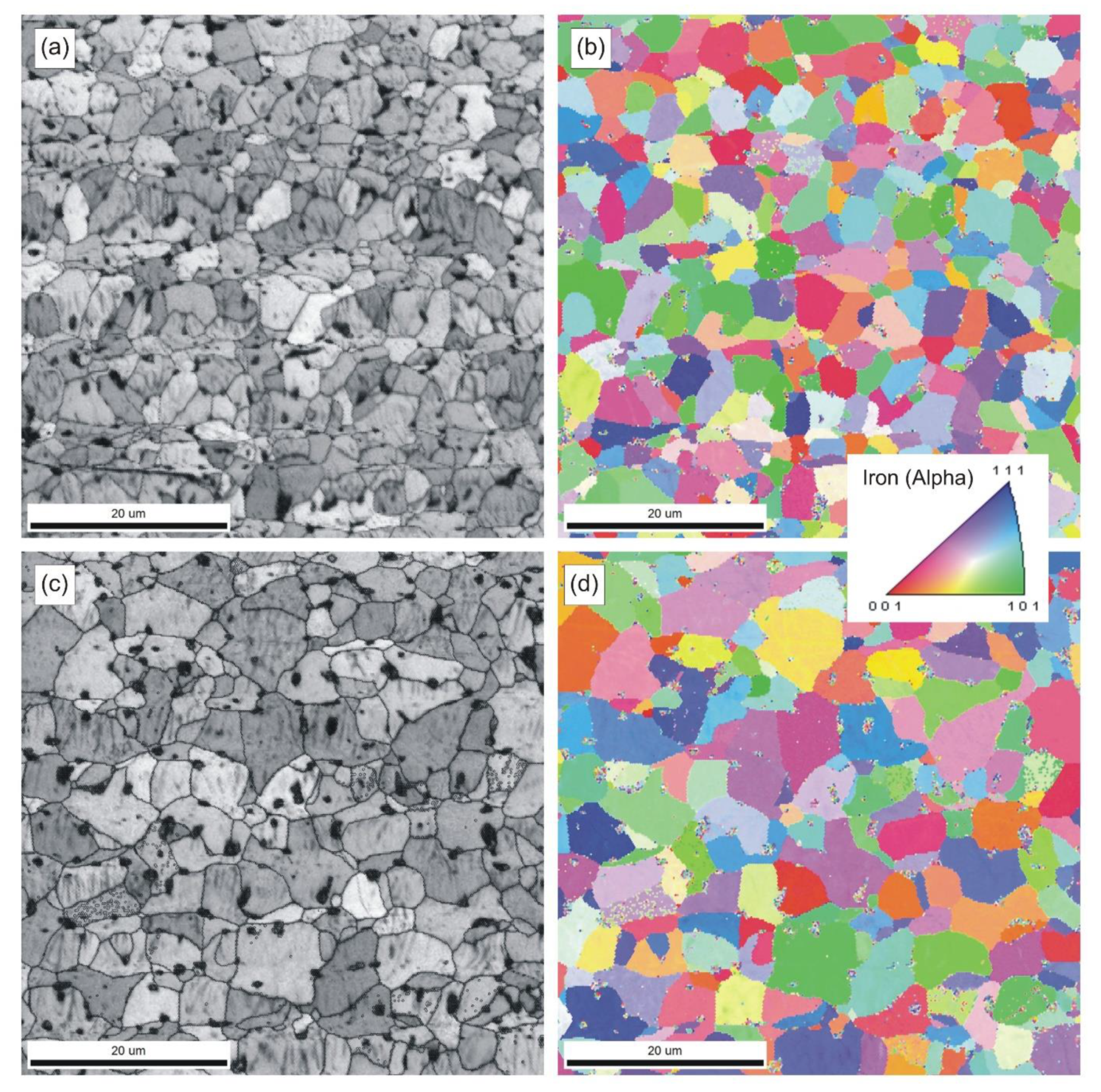 Materials 14 00406 g007 550