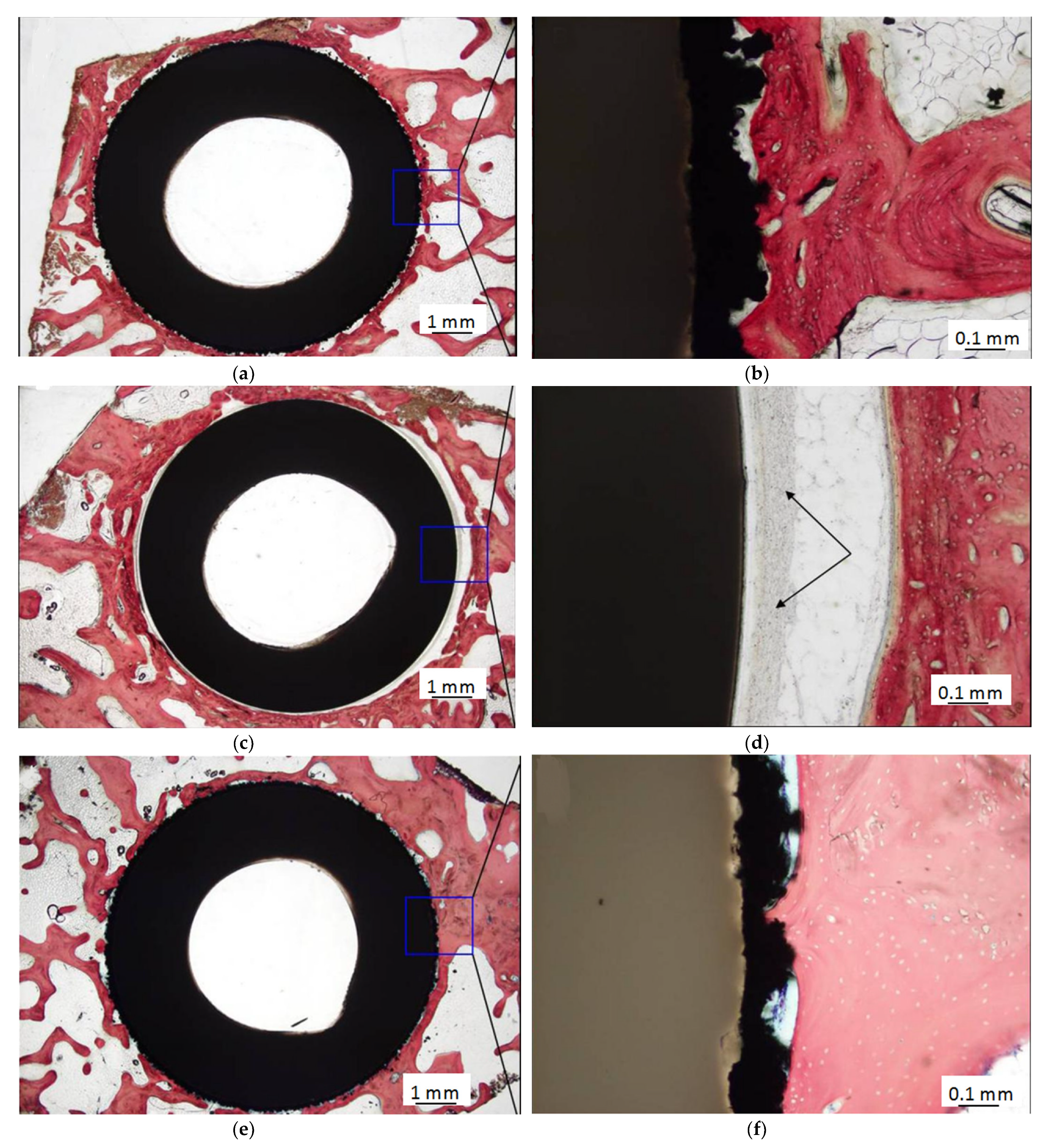 Materials 14 00408 g005a