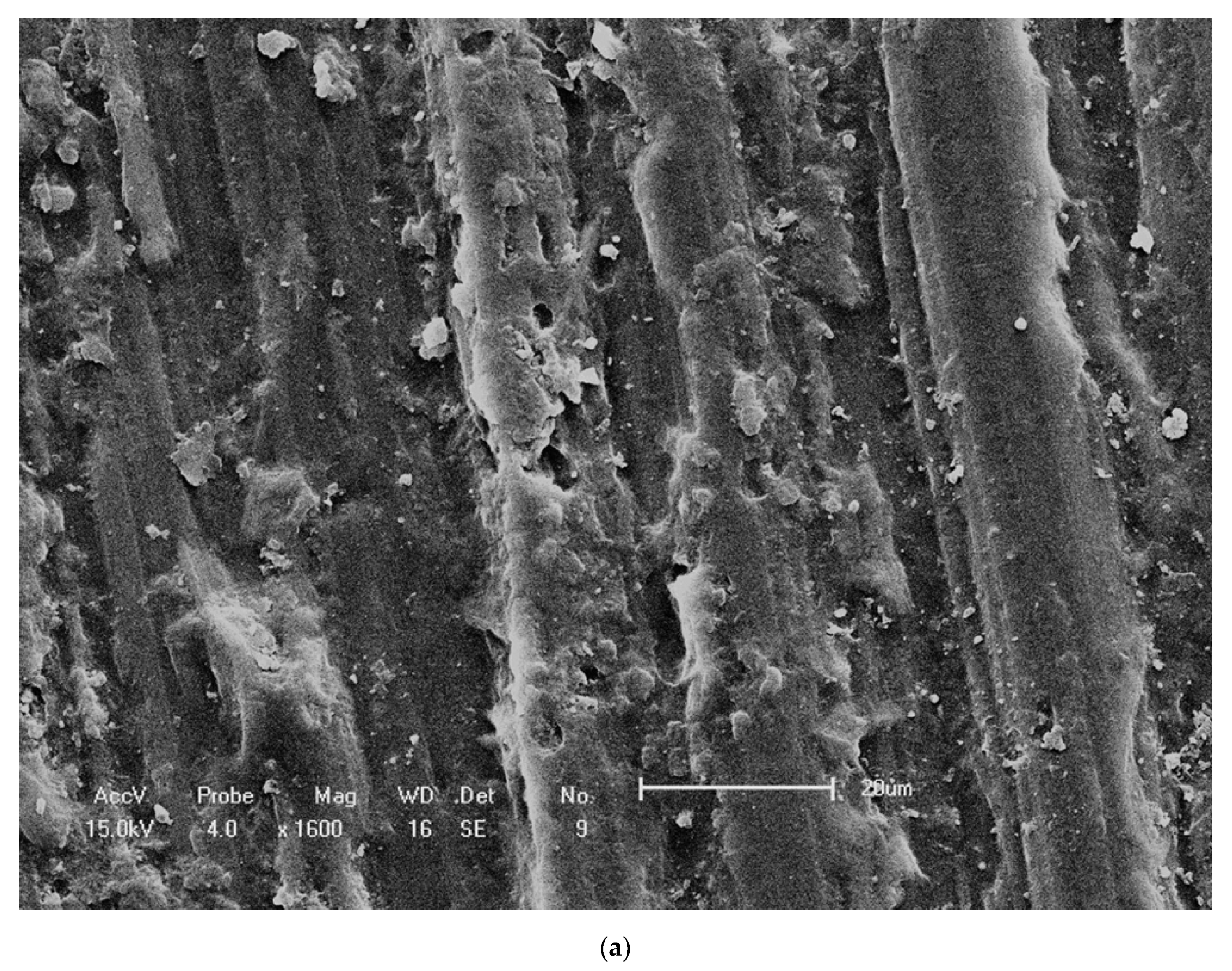 Materials 14 00408 g007a