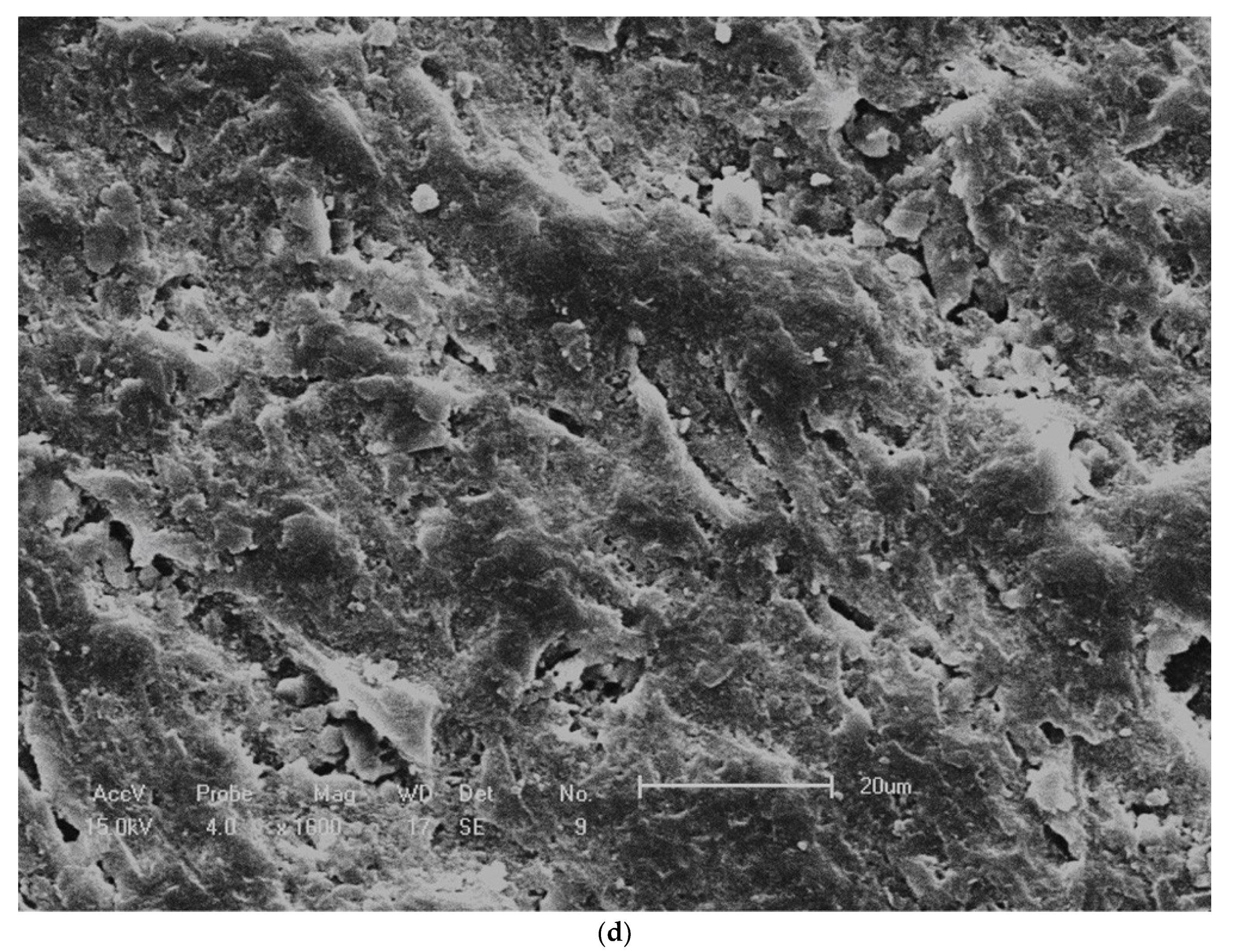 Materials 14 00408 g007c