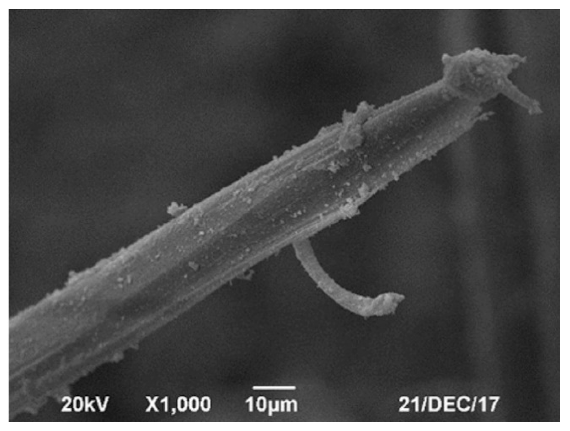 Materials 14 00409 g002 Materials 14 00409 g002