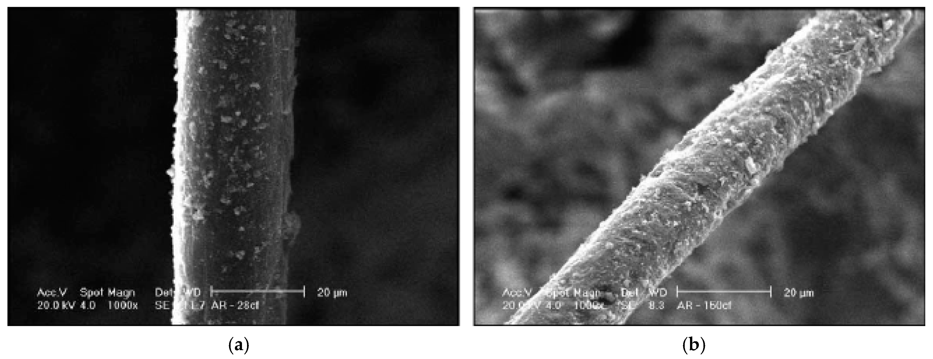 Materials 14 00409 g003 Materials 14 00409 g003