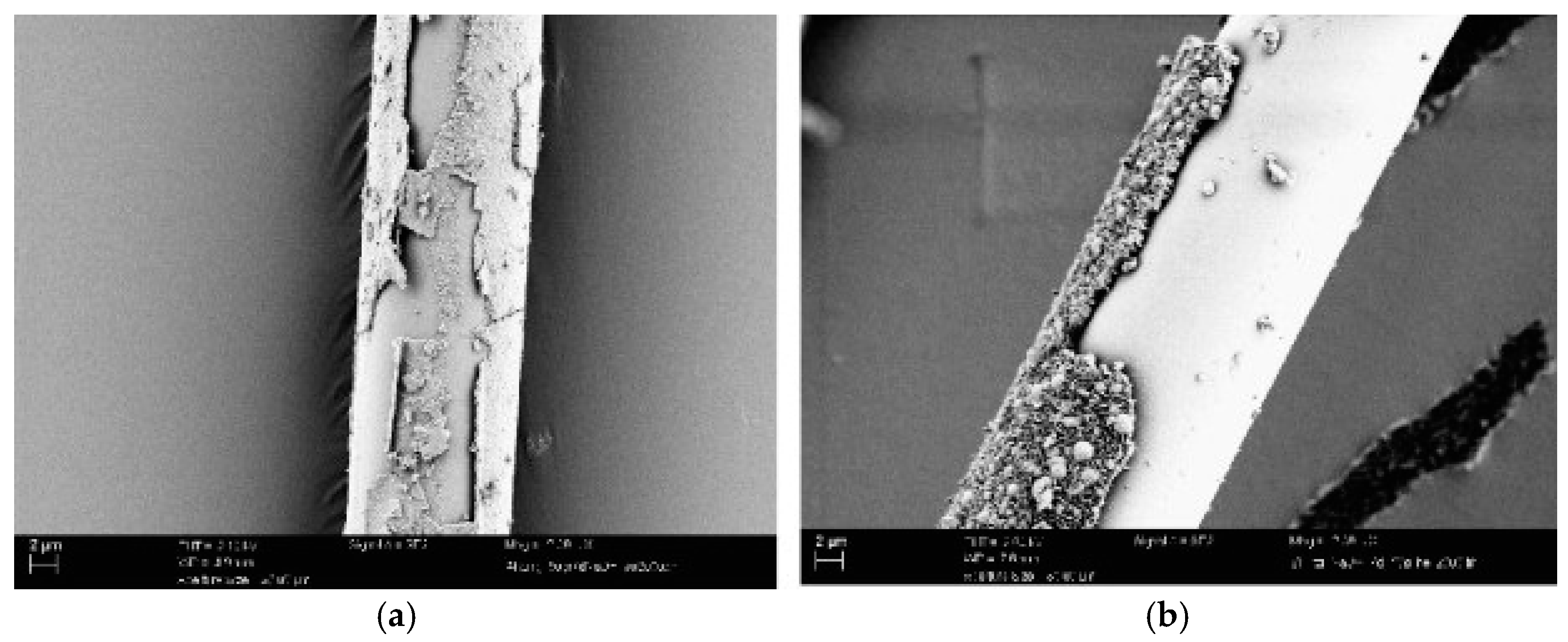 Materials 14 00409 g005 Materials 14 00409 g005