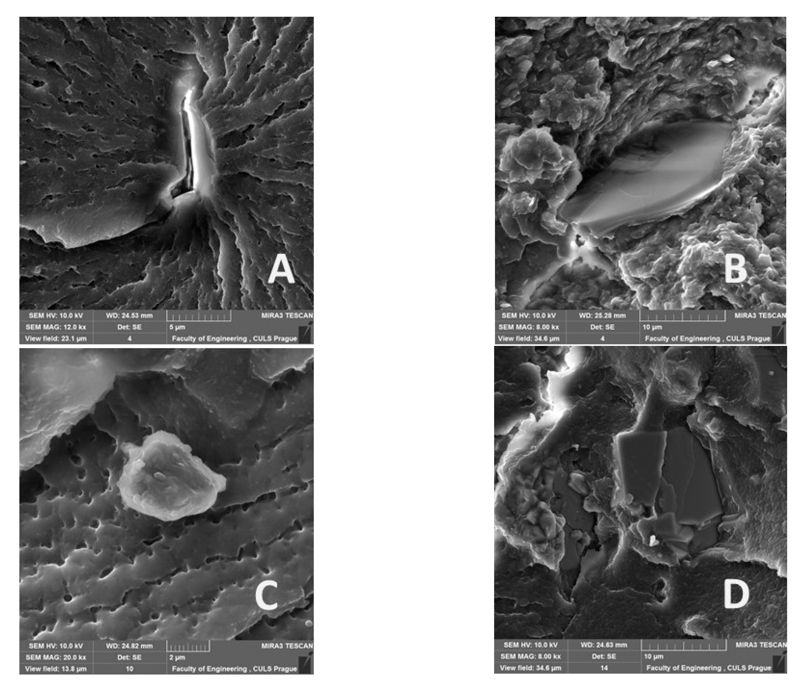 Materials 14 00411 g011