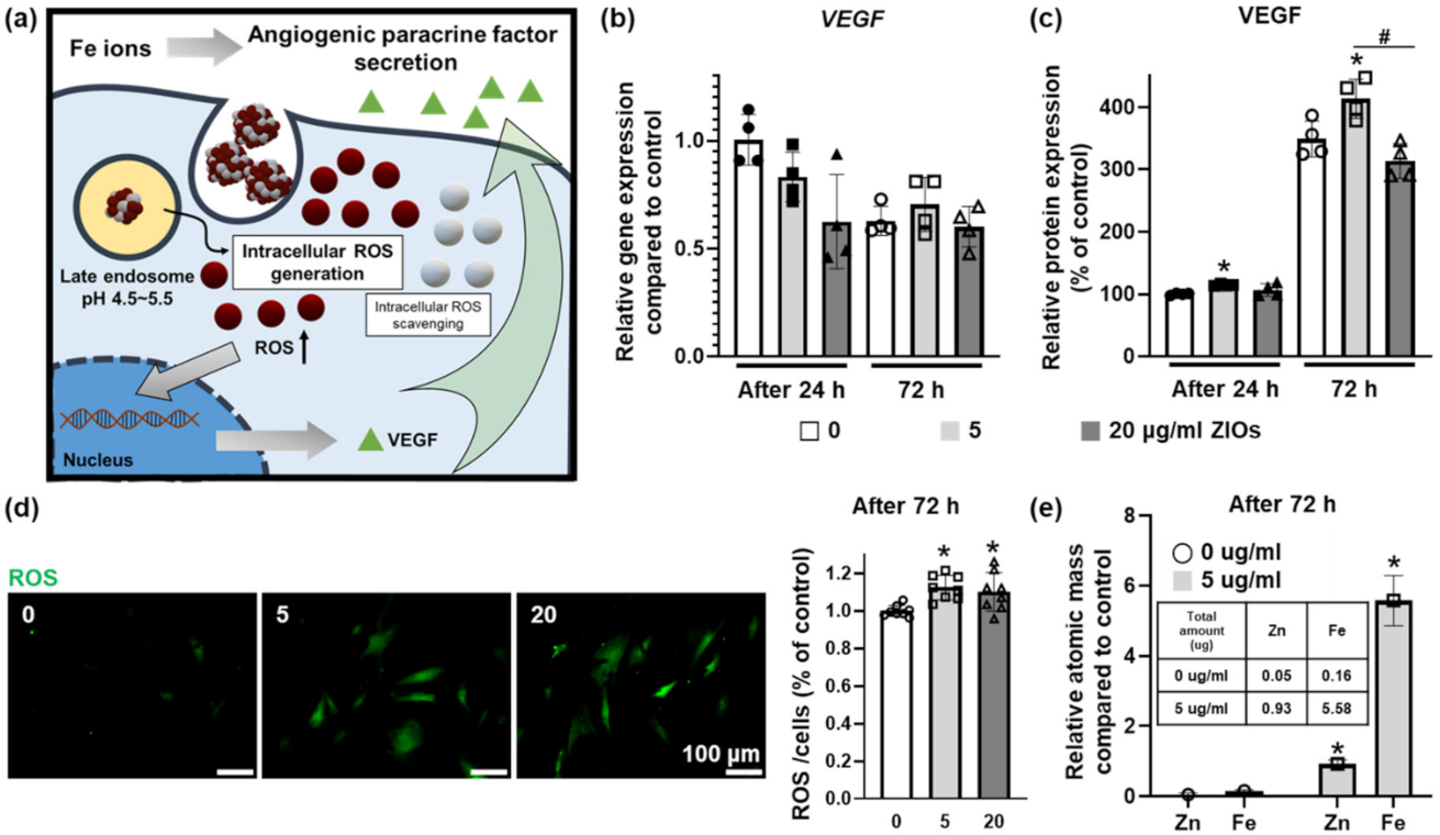 Materials 14 00412 g005