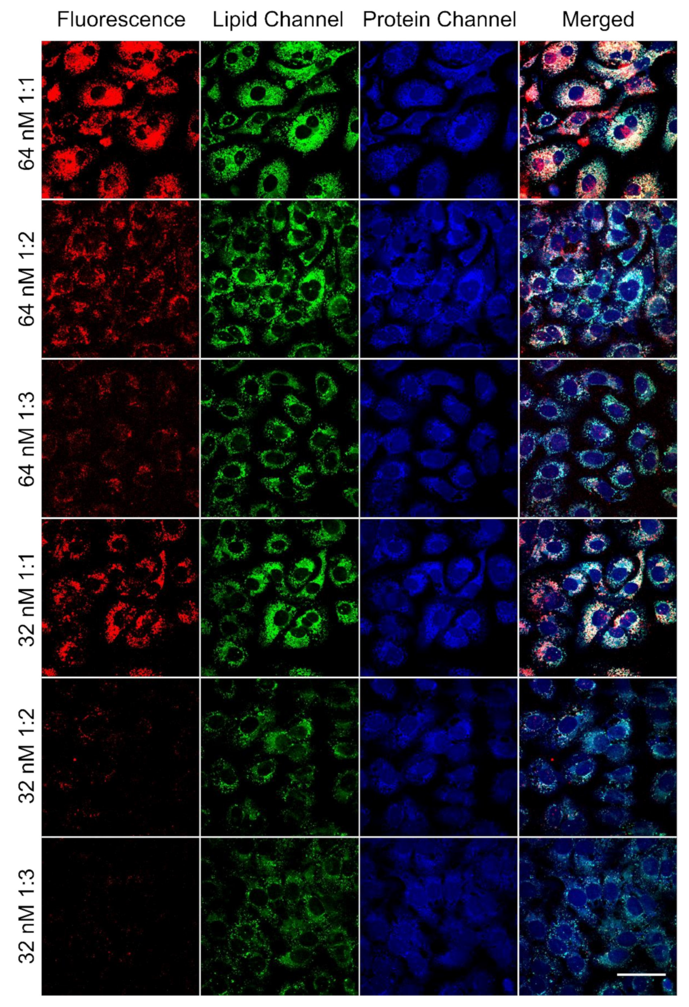 Materials 14 00416 g005 Materials 14 00416 g005