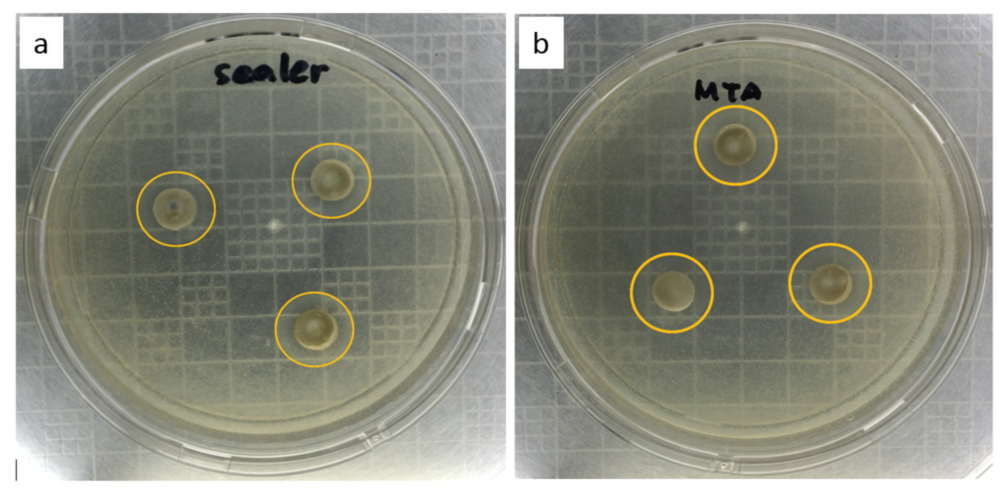 Materials 14 00417 g003 Materials 14 00417 g003