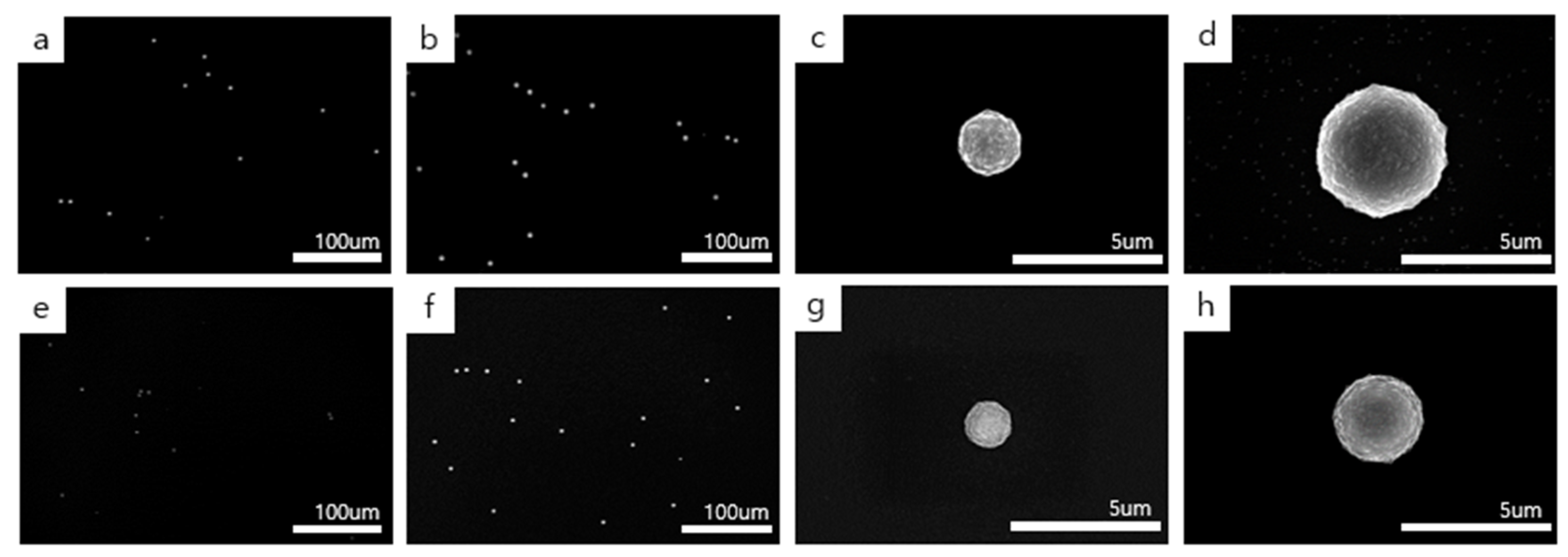 Materials 14 00426 g003