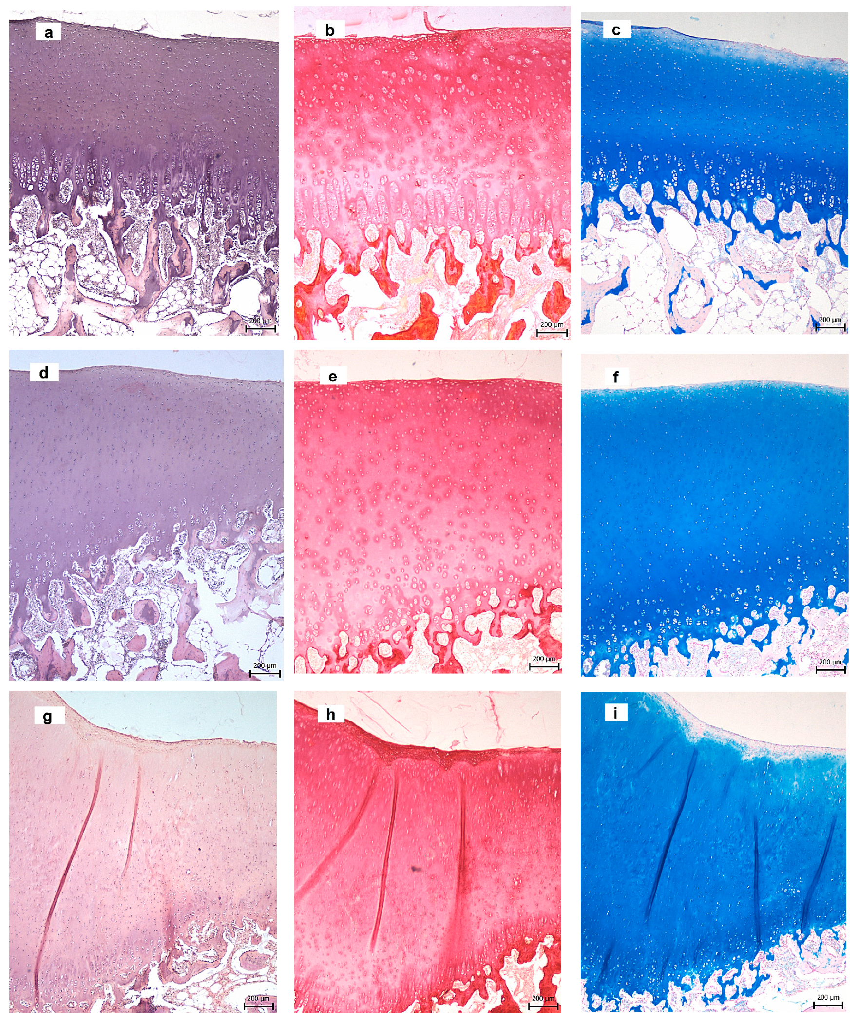 Materials 14 00436 g007a